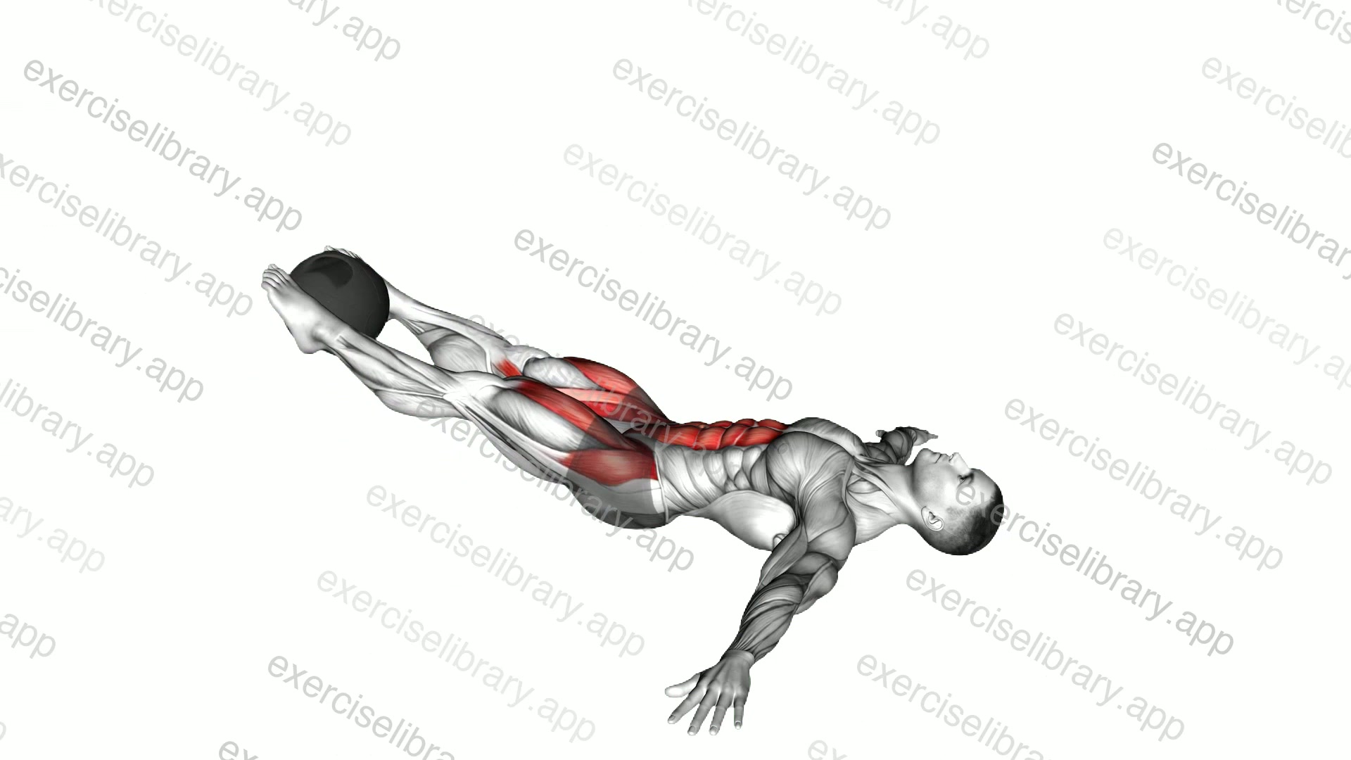 Medicine Ball Lying Leg Raise demonstration