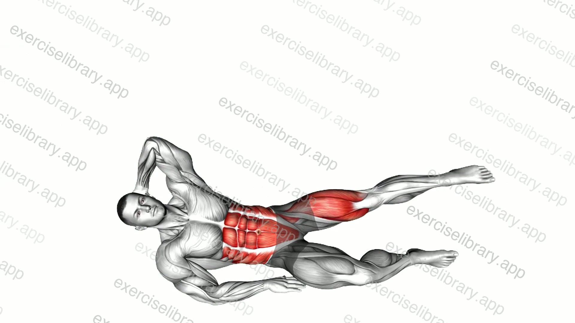 Leg Raise Oblique Crunch demonstration