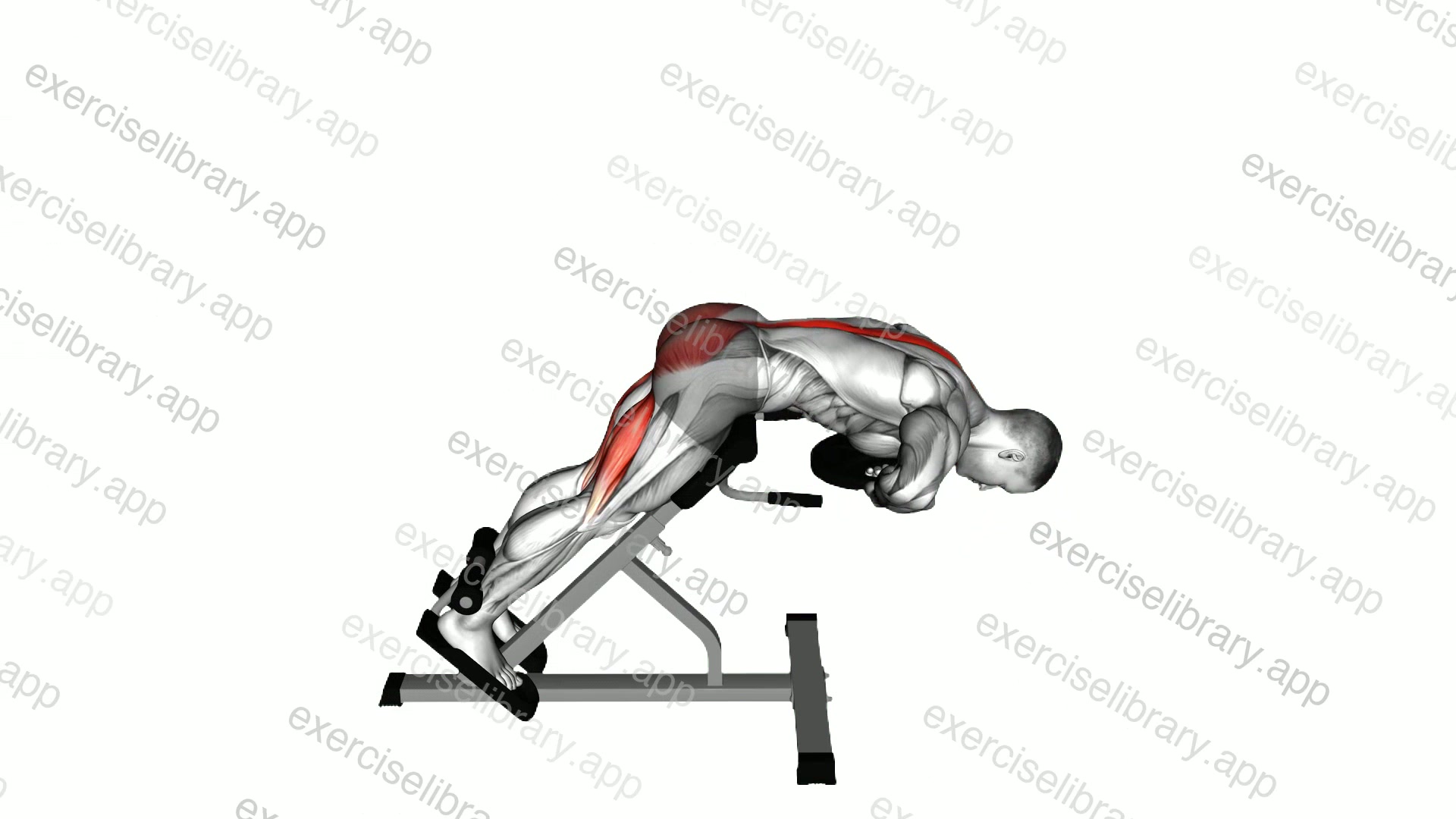 Weighted Hyperextension demonstration