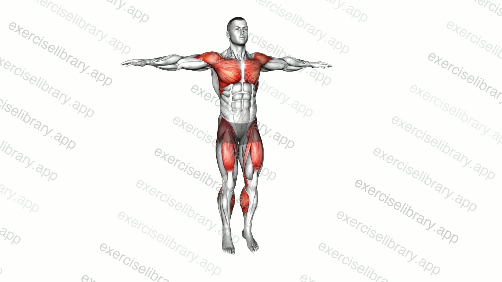 Alternate Front Kick in Place with Arm Circles demonstration