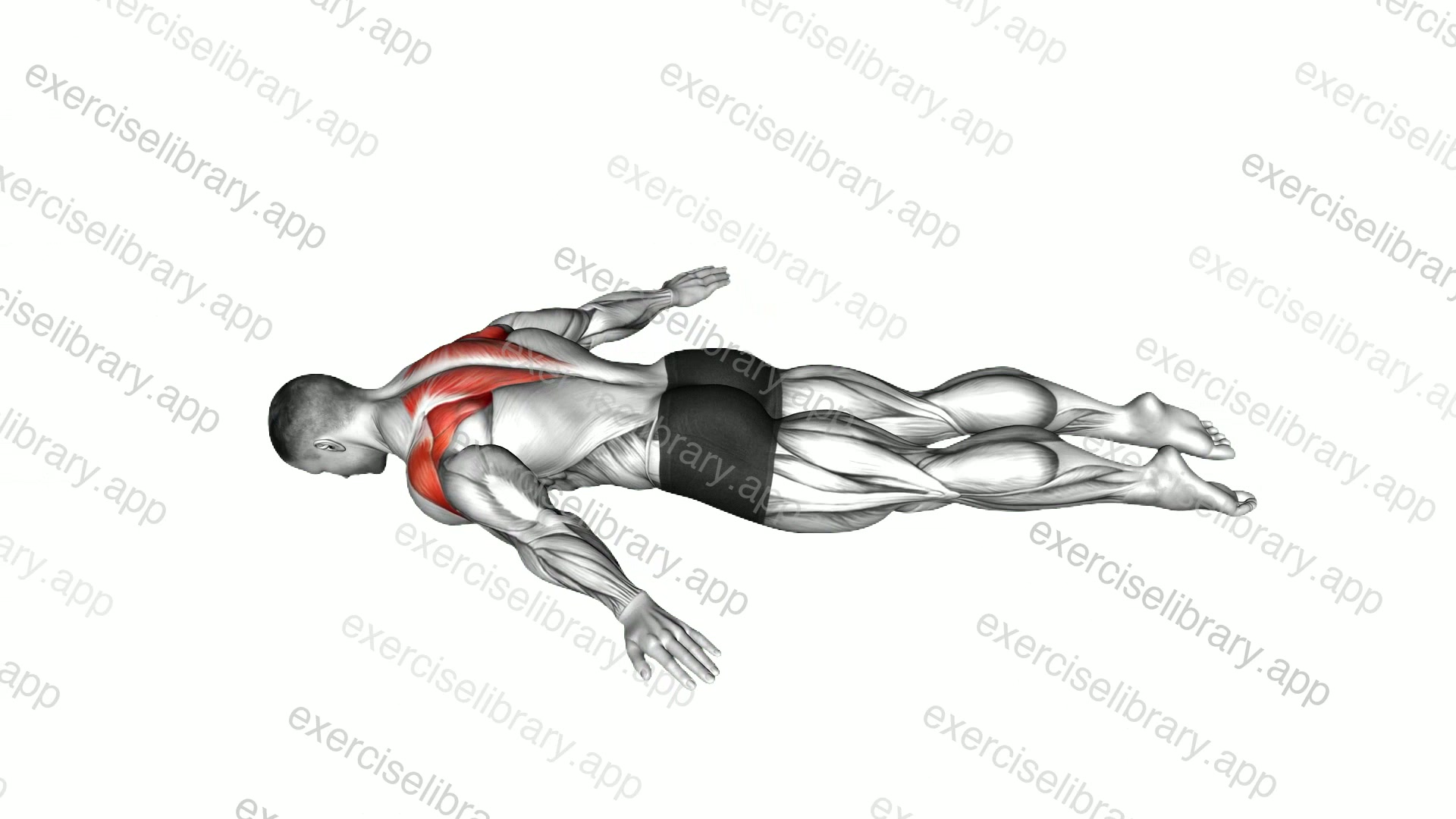 Lying Prone A demonstration