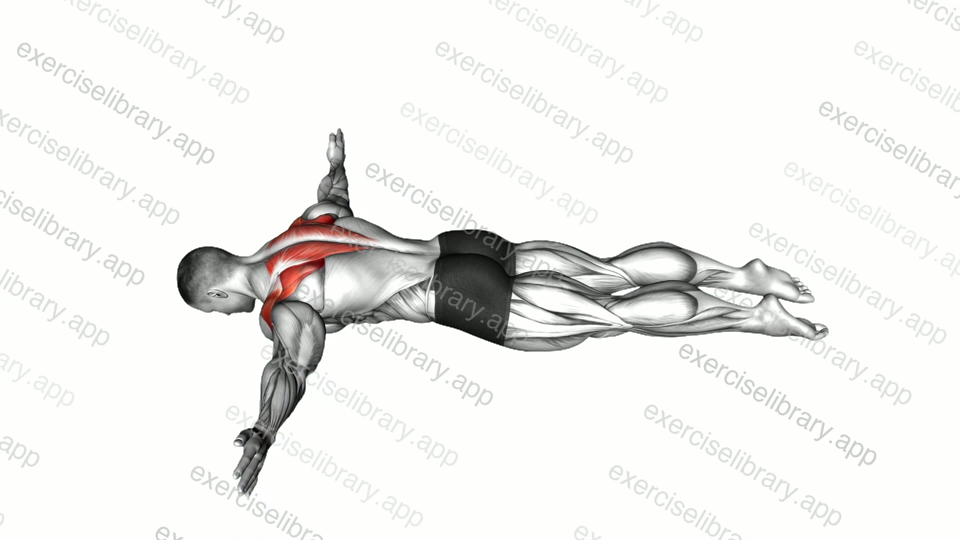 Lying Prone T demonstration