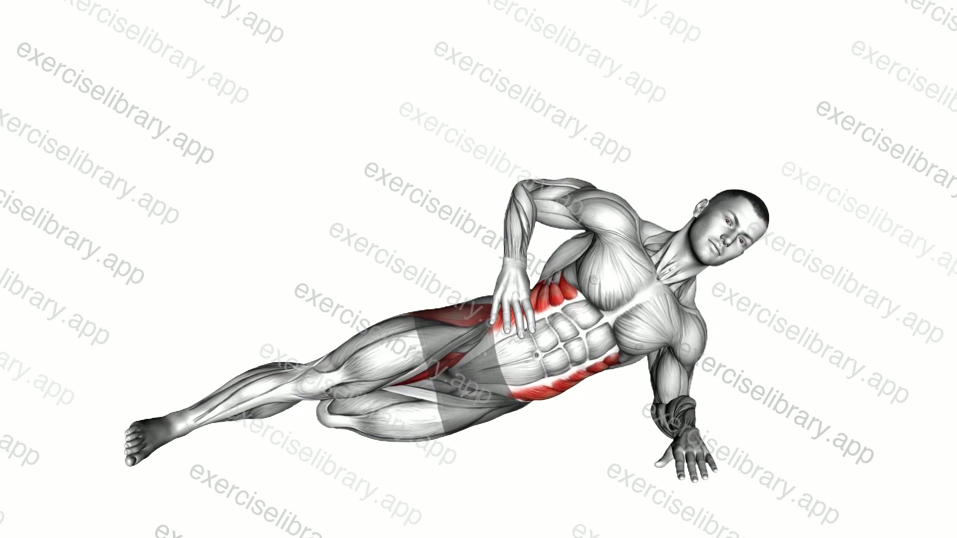 Side Bridge with Bent Leg demonstration