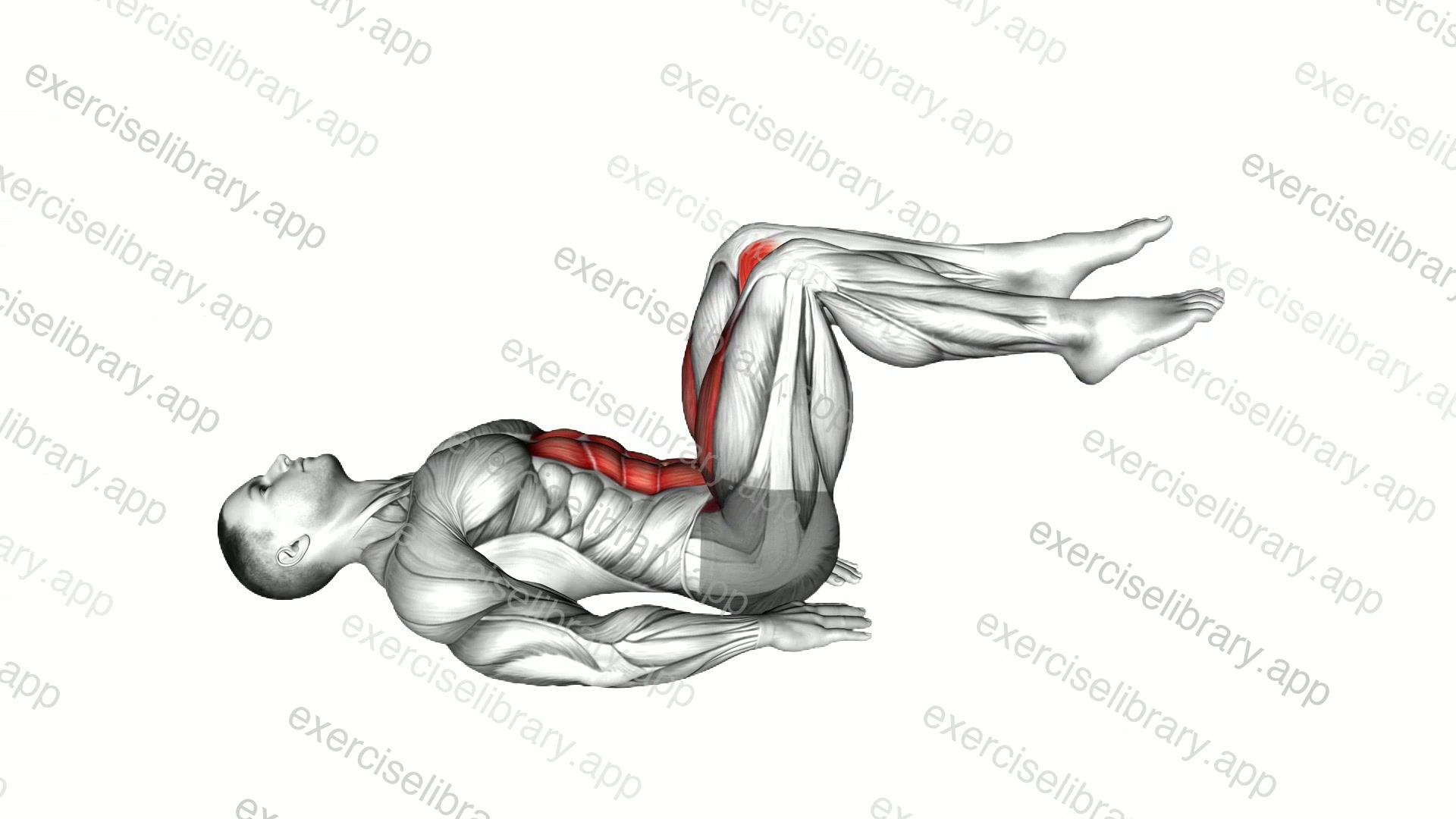 Lying Alternate Toe Touch Floor demonstration