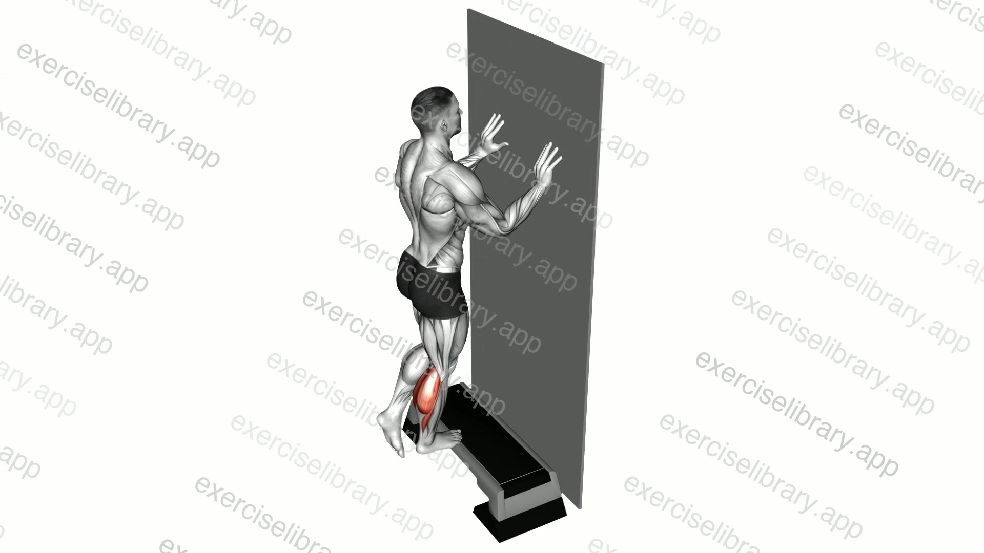 Single Leg Calf Raise Off Step demonstration