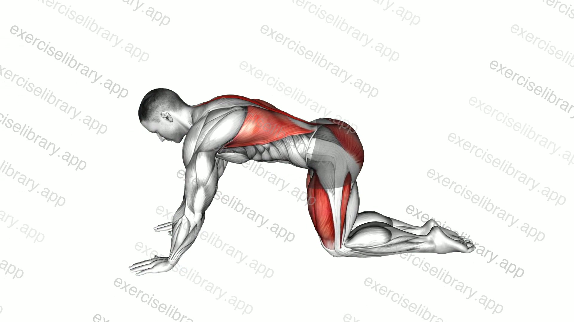 Child Pose demonstration