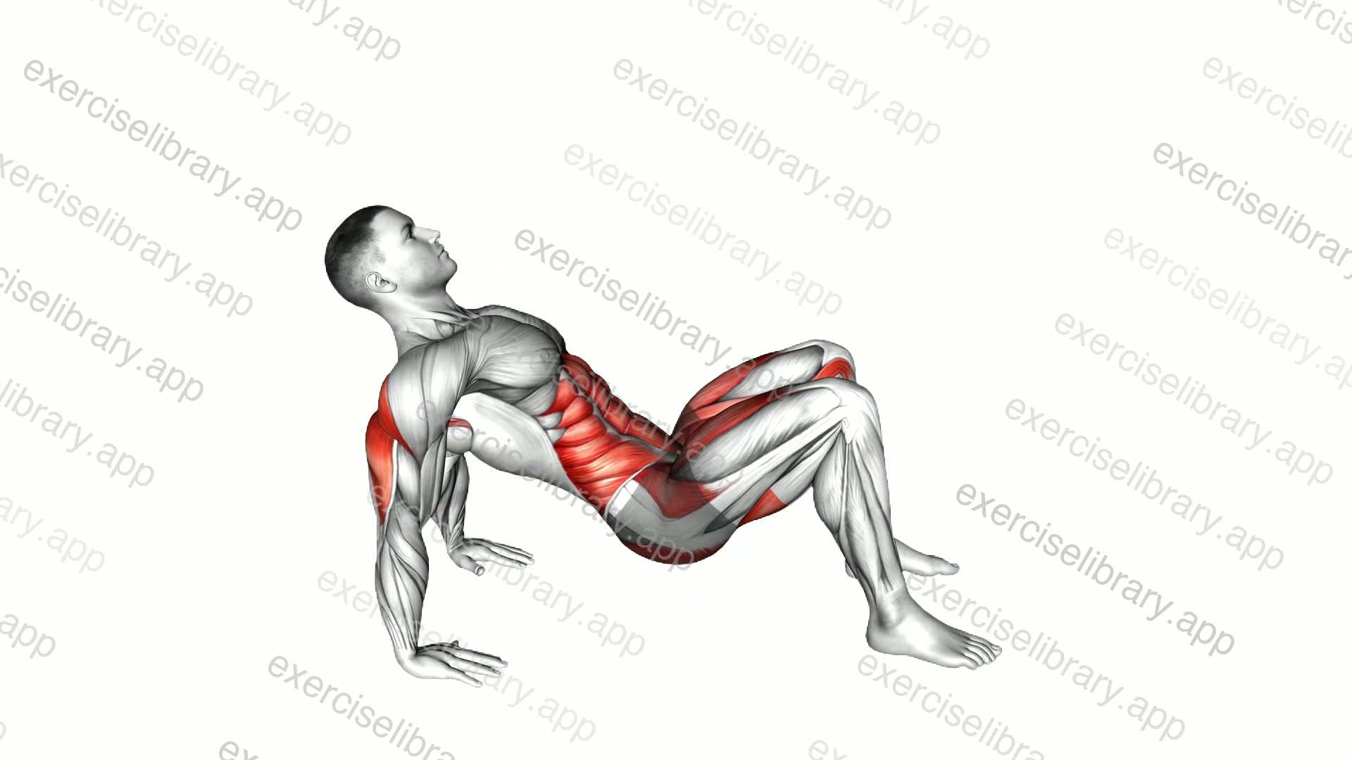 Crab Pose demonstration