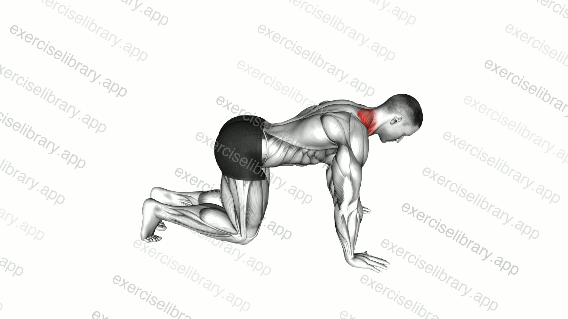 Kneeling Neck Stretch demonstration