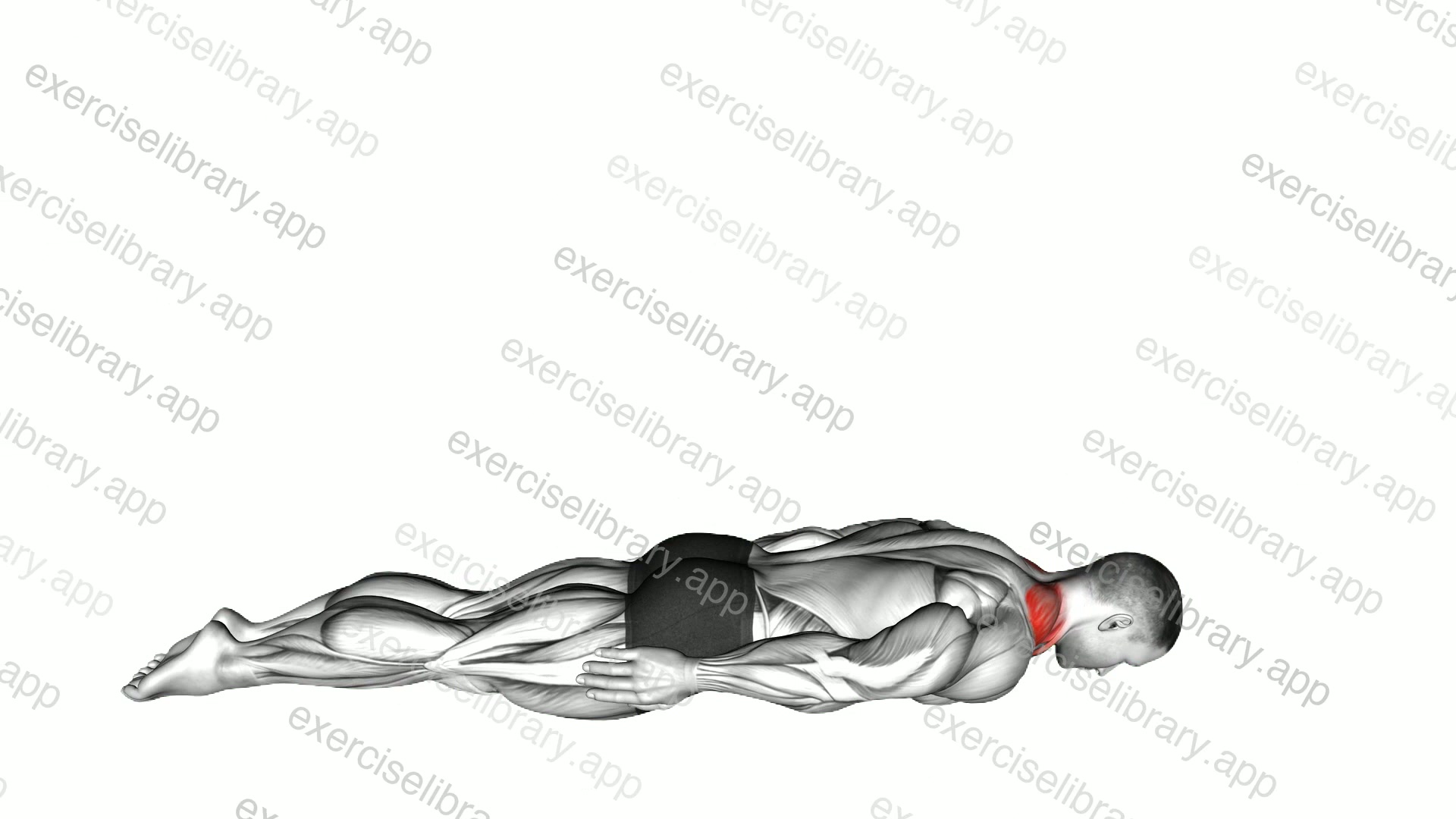 Prone Cervical Extension demonstration