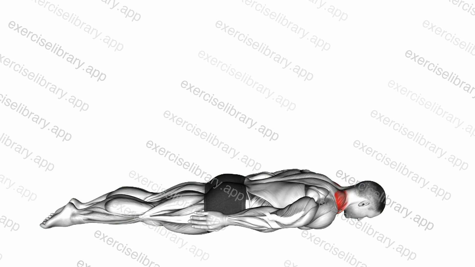 Prone Cervical Extension Isometric Hold demonstration