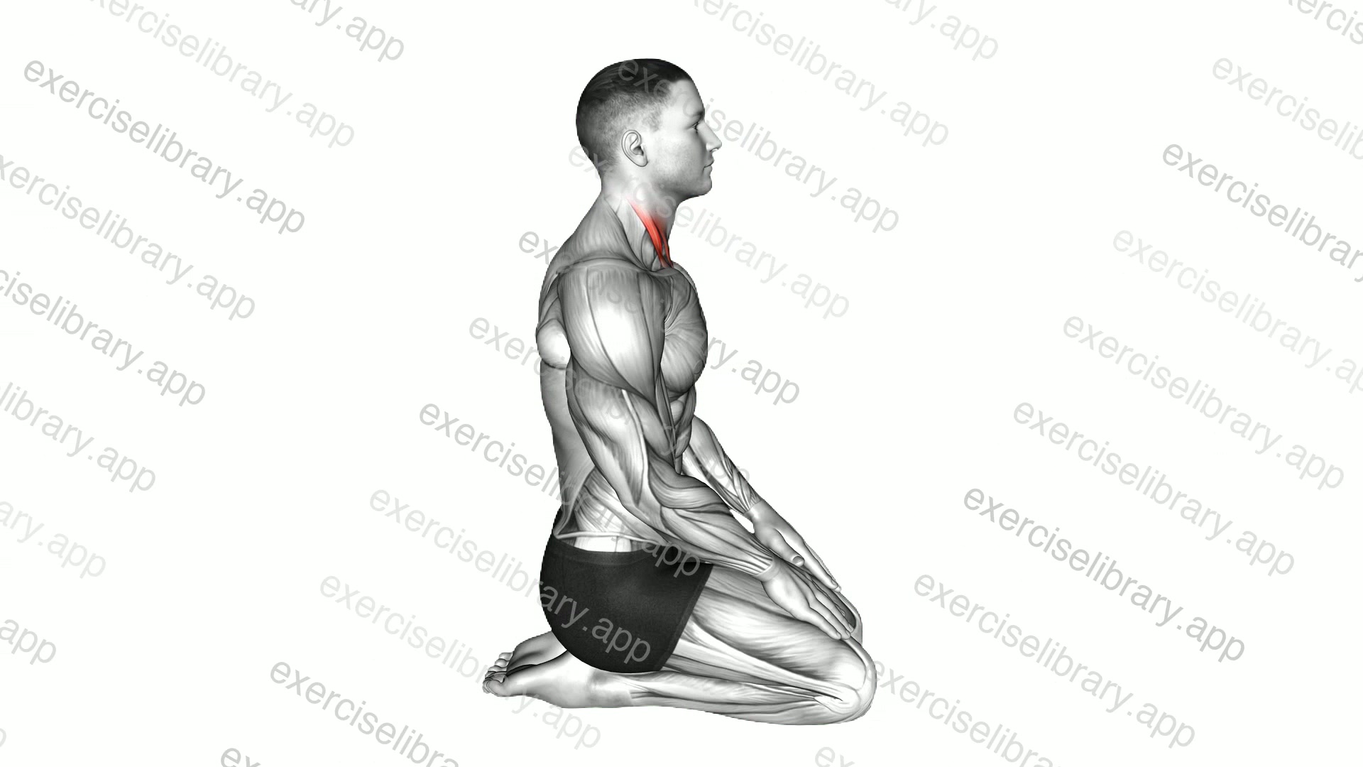 Seated Chin Tuck demonstration