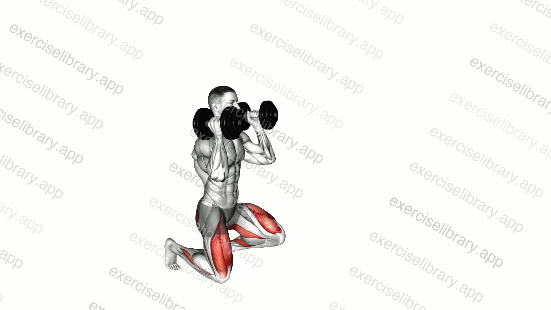 Dumbbell Kneeling Hold to Stand Clean grip demonstration