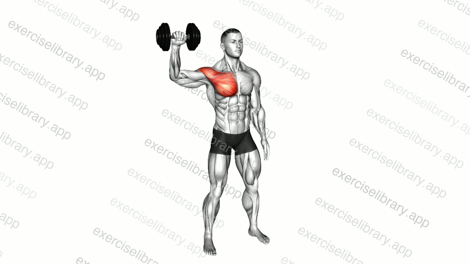Dumbbell Shoulder Internal Rotation at 90 Abduction demonstration