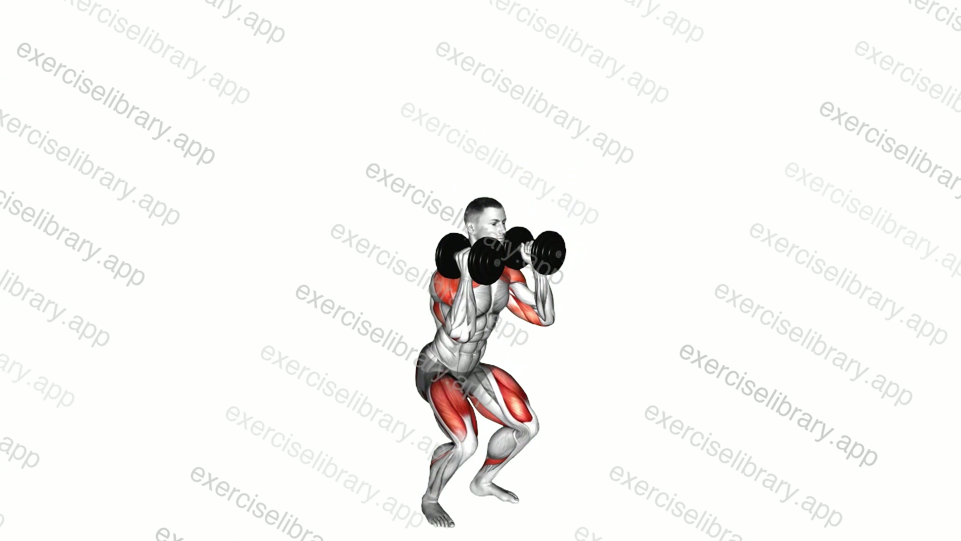 Dumbbell Squat to Overhead Press demonstration