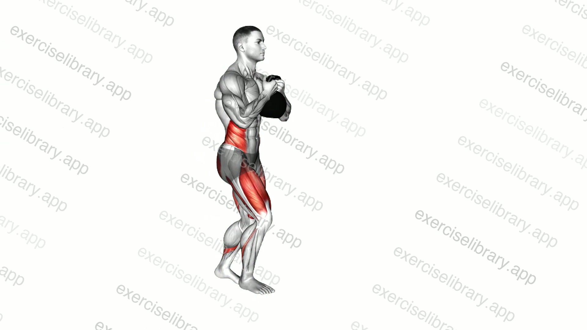 Kettlebell Lunge with Twist demonstration