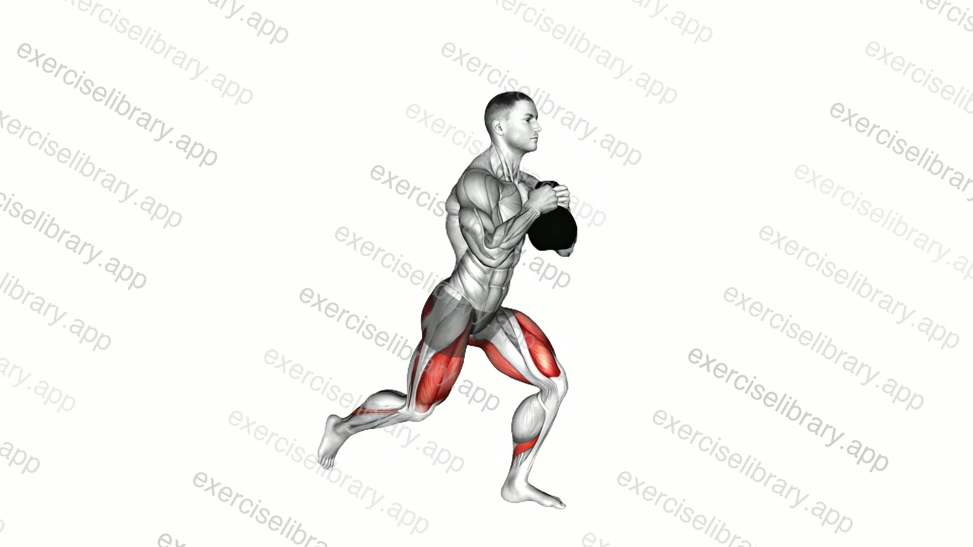 Kettlebell Rear Lunge demonstration