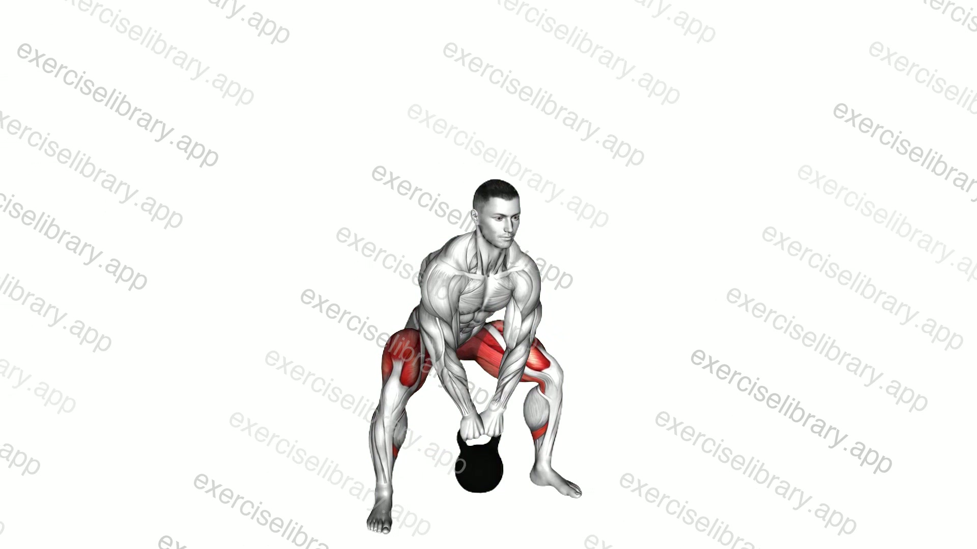 Kettlebell Sumo Squat demonstration