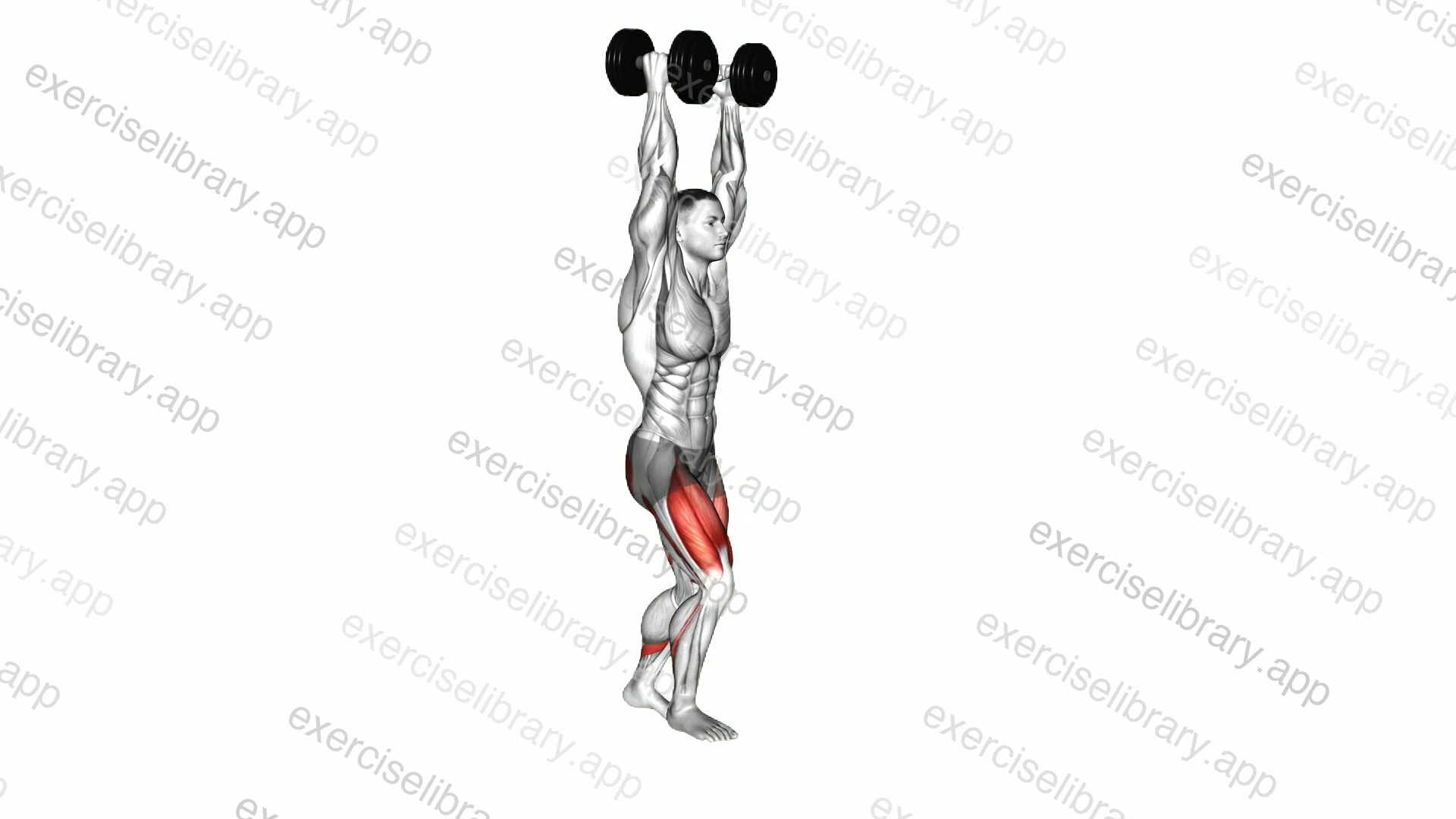 Dumbbell Overhead Lunge demonstration