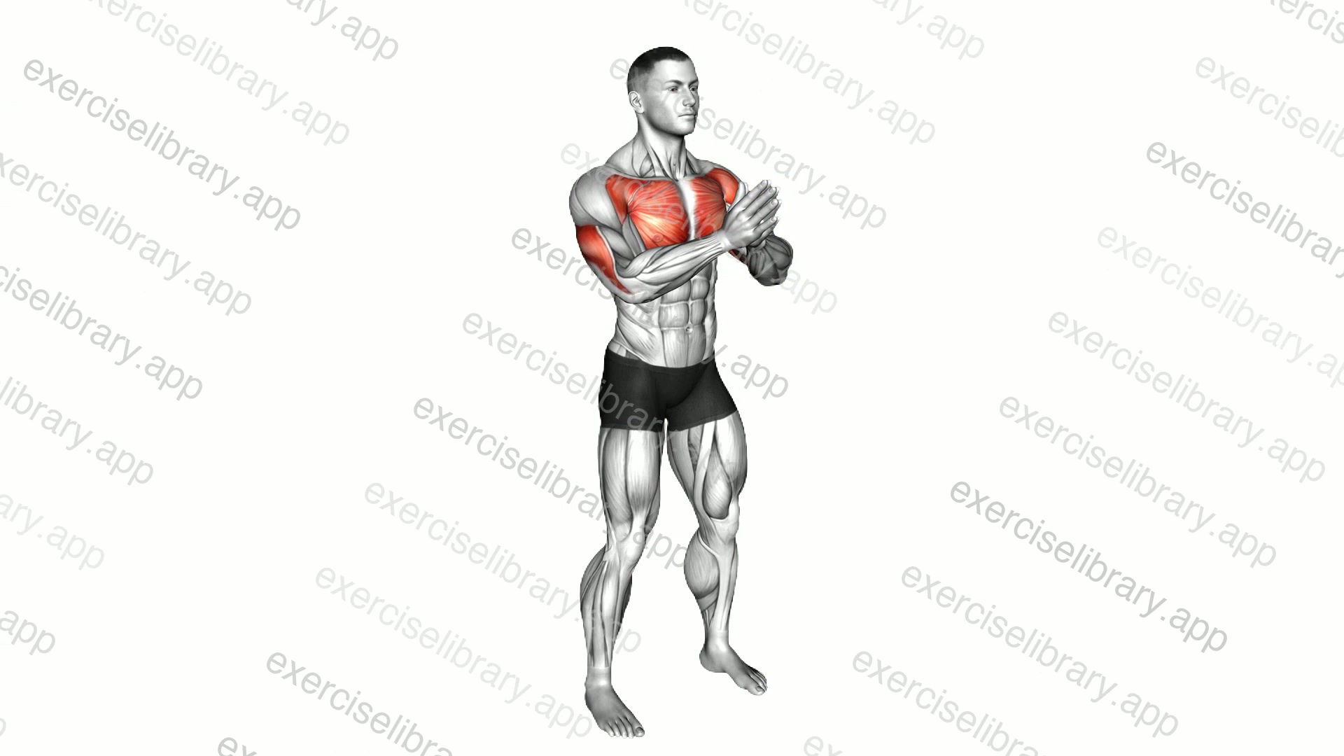 Bodyweight Svend Press demonstration