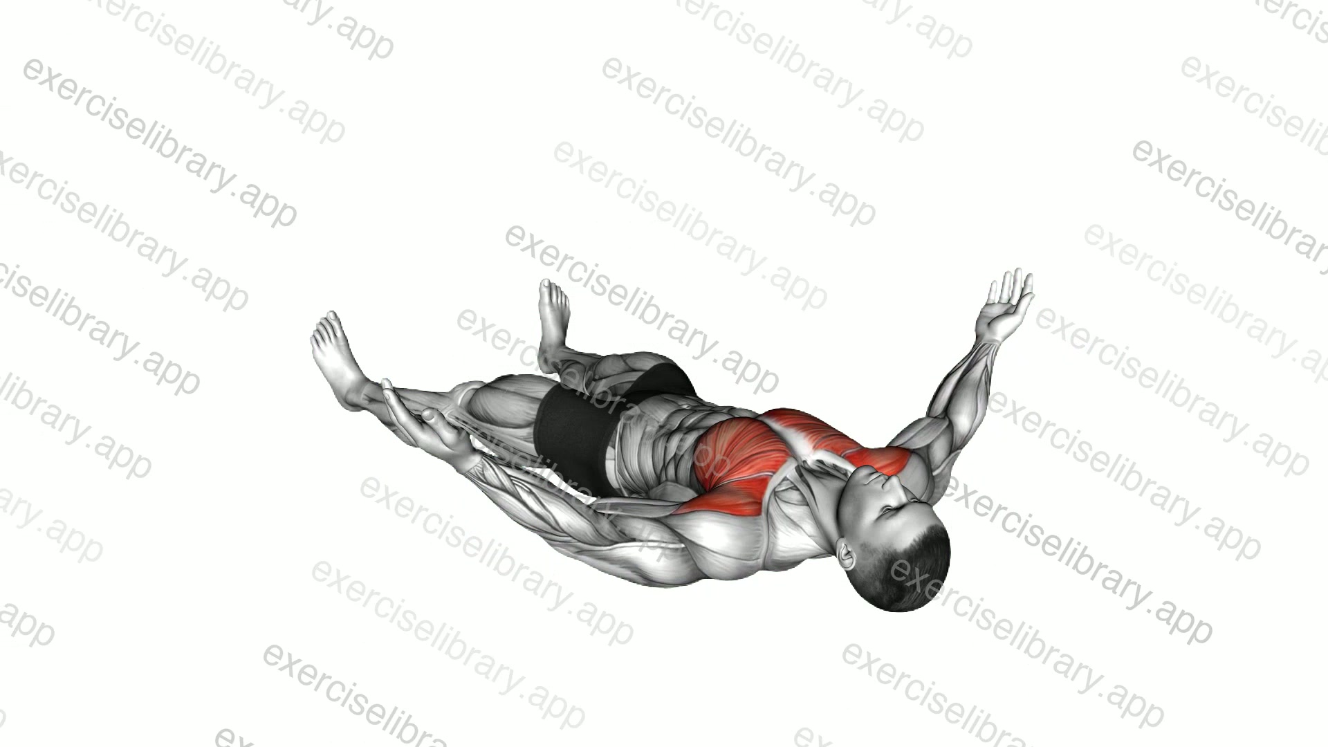 Lying Floor Fly demonstration