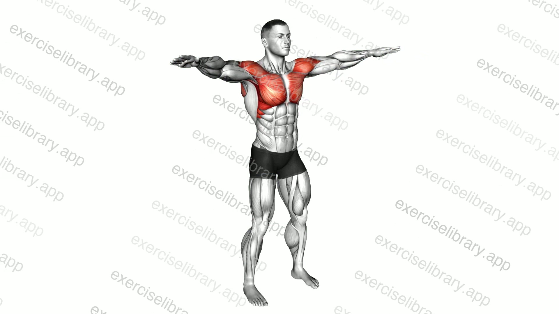 Palm up - Palm down Rotation demonstration