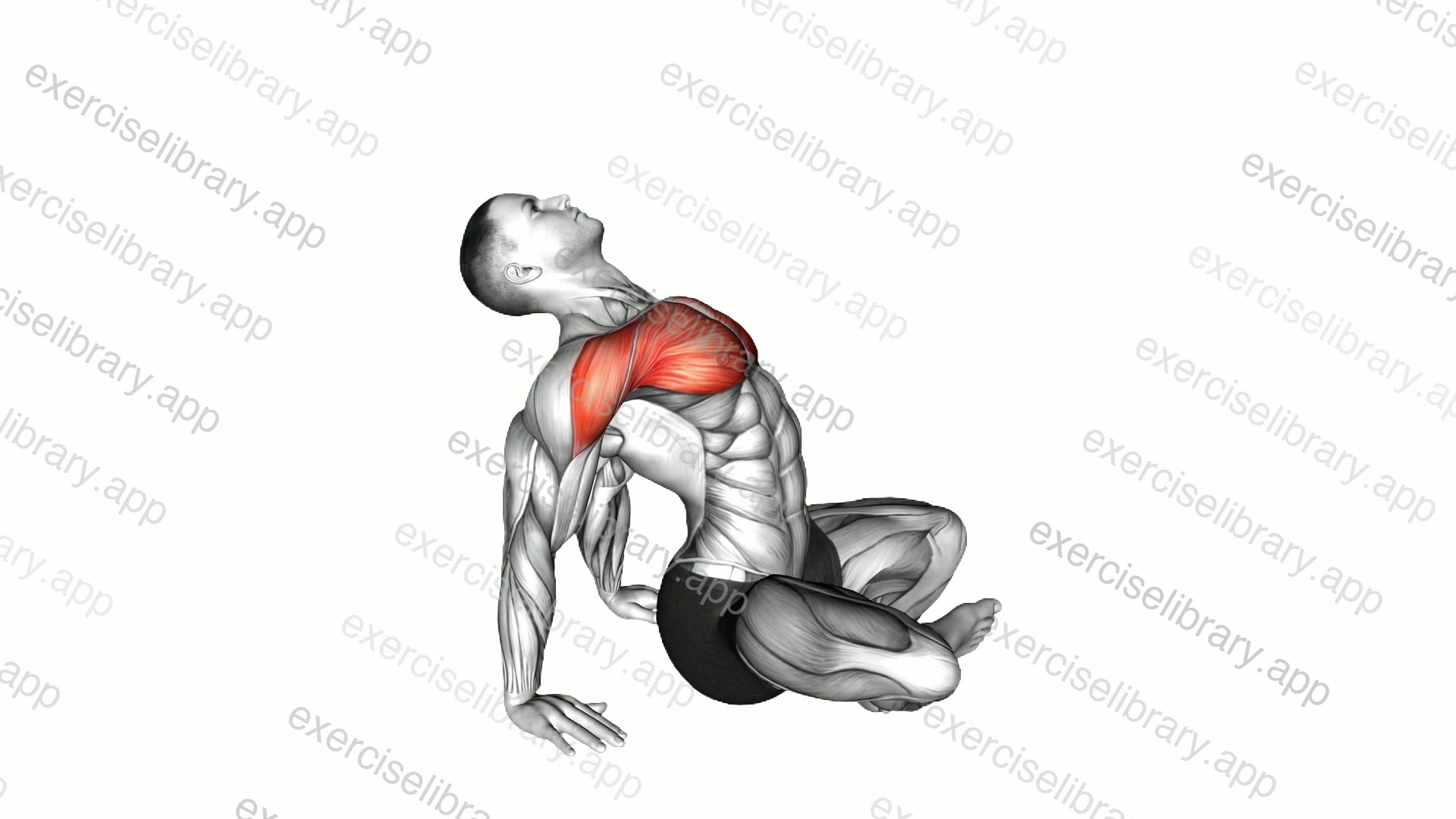 Seated Sky Look demonstration