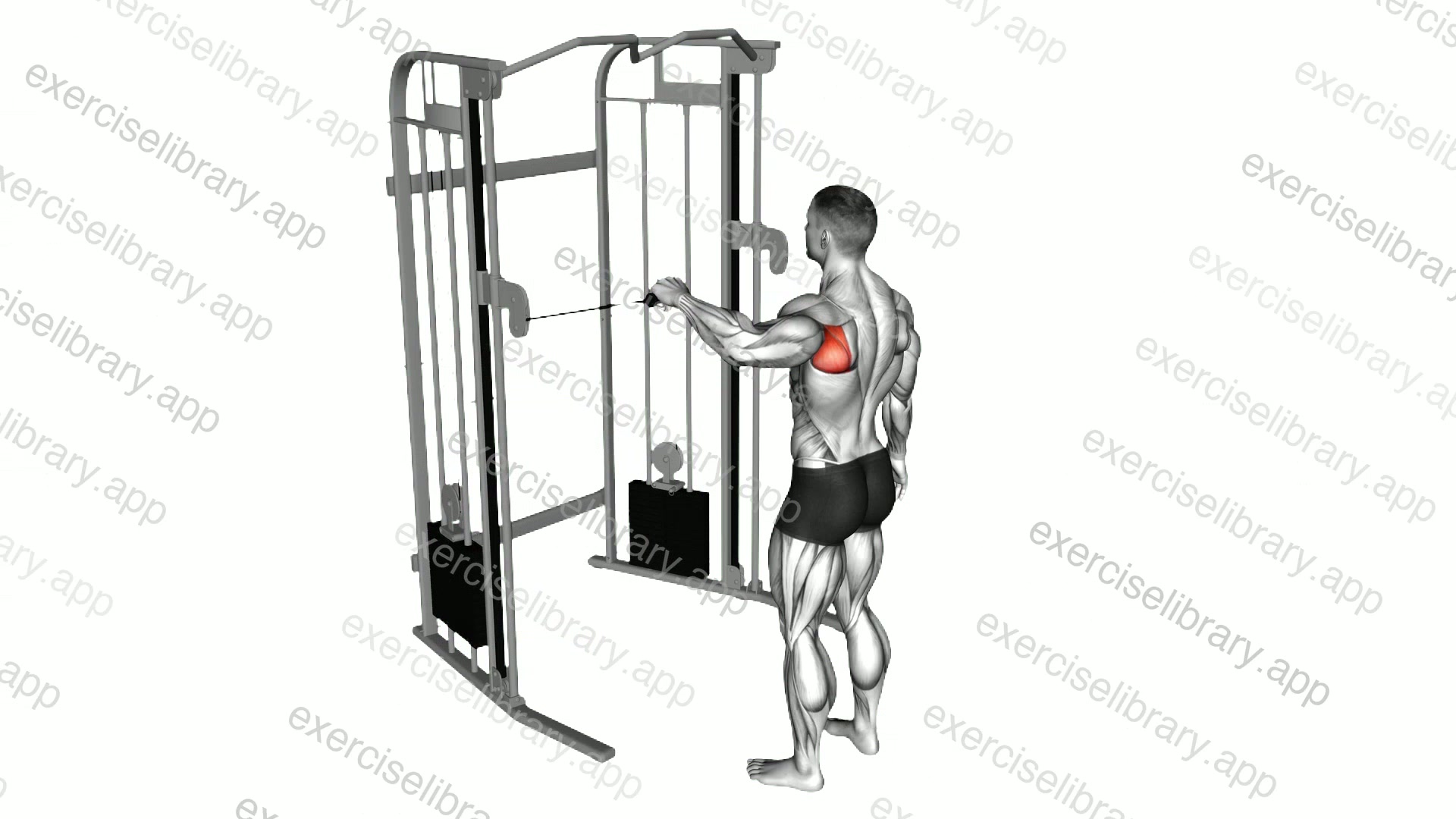 Cable Shoulder 90 degrees External Rotation demonstration