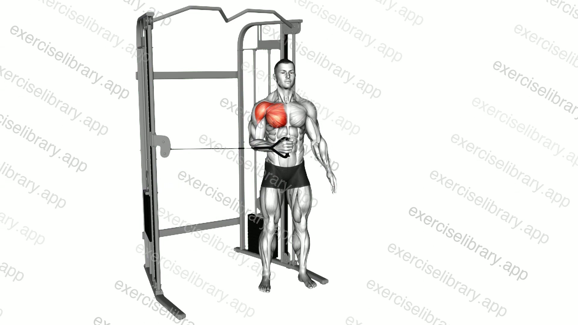 Cable Shoulder Internal Rotation demonstration
