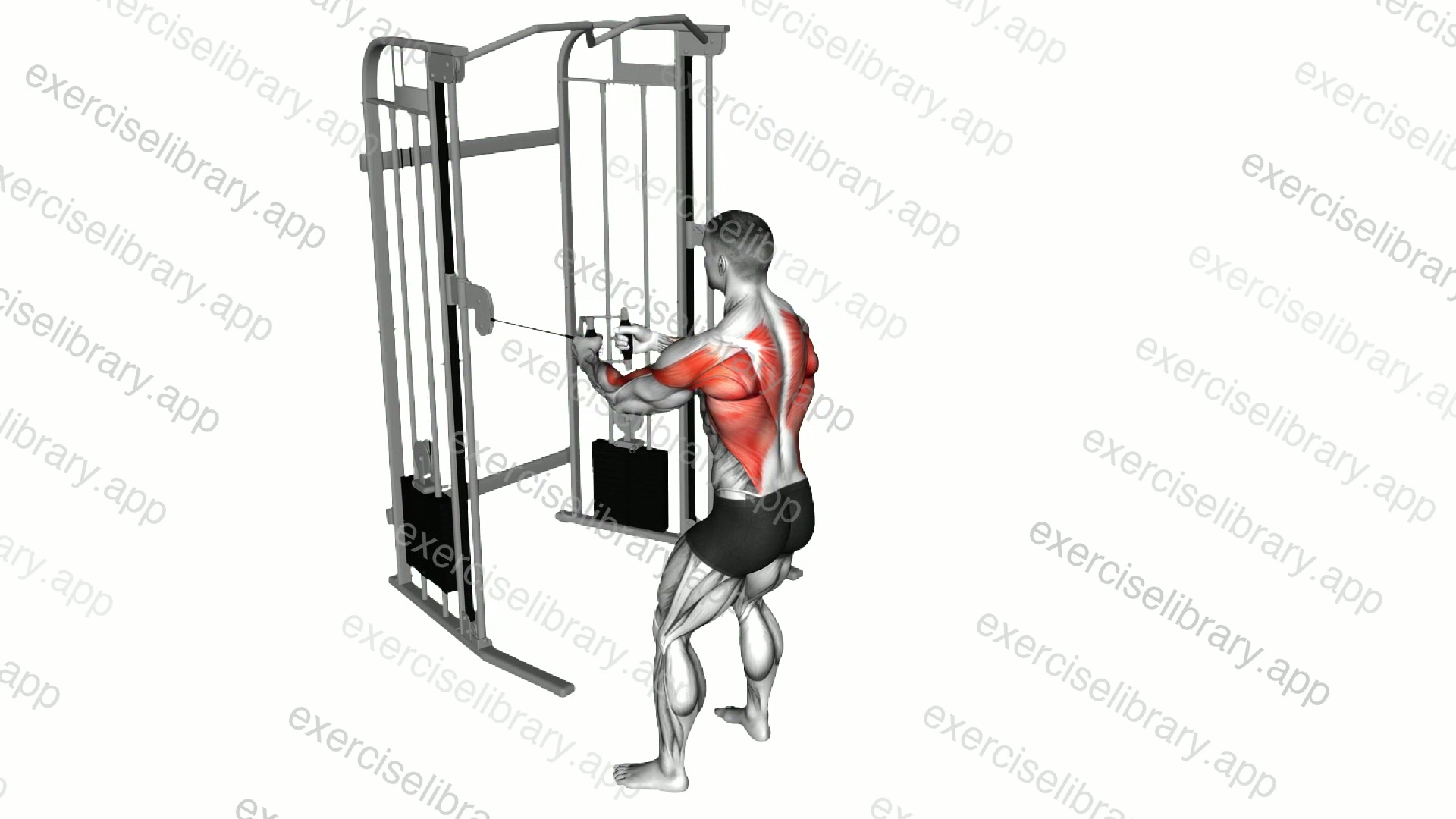 Cable Standing Row demonstration