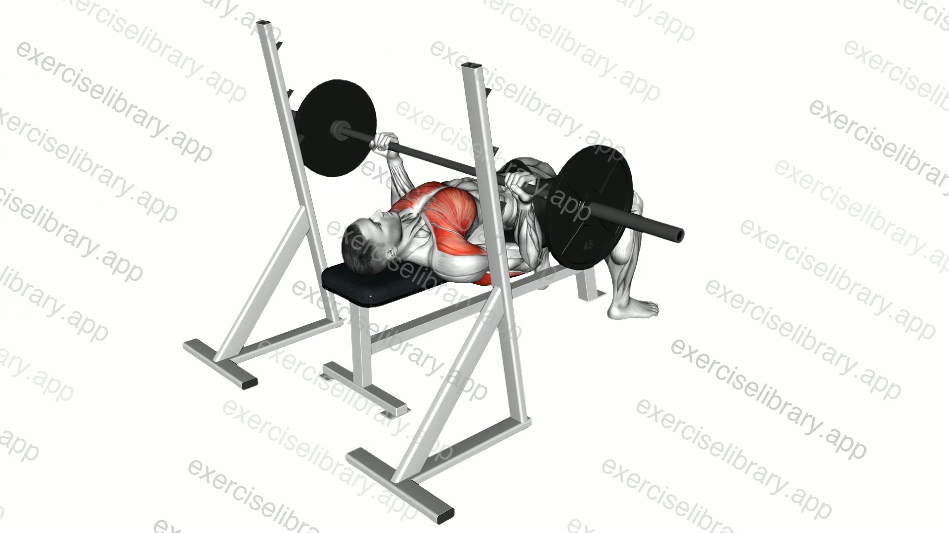 Barbell Reverse Grip Bench Press demonstration
