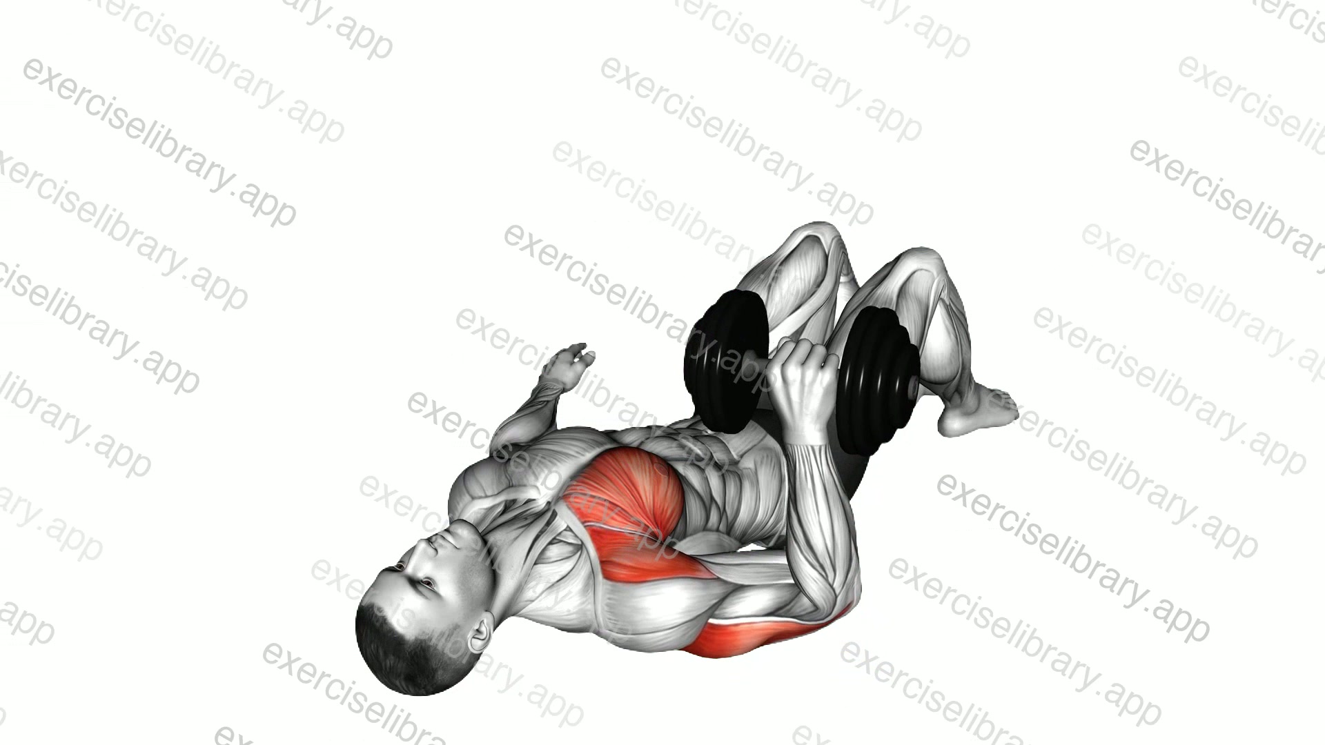 Dumbbell Single Arm Floor Press demonstration