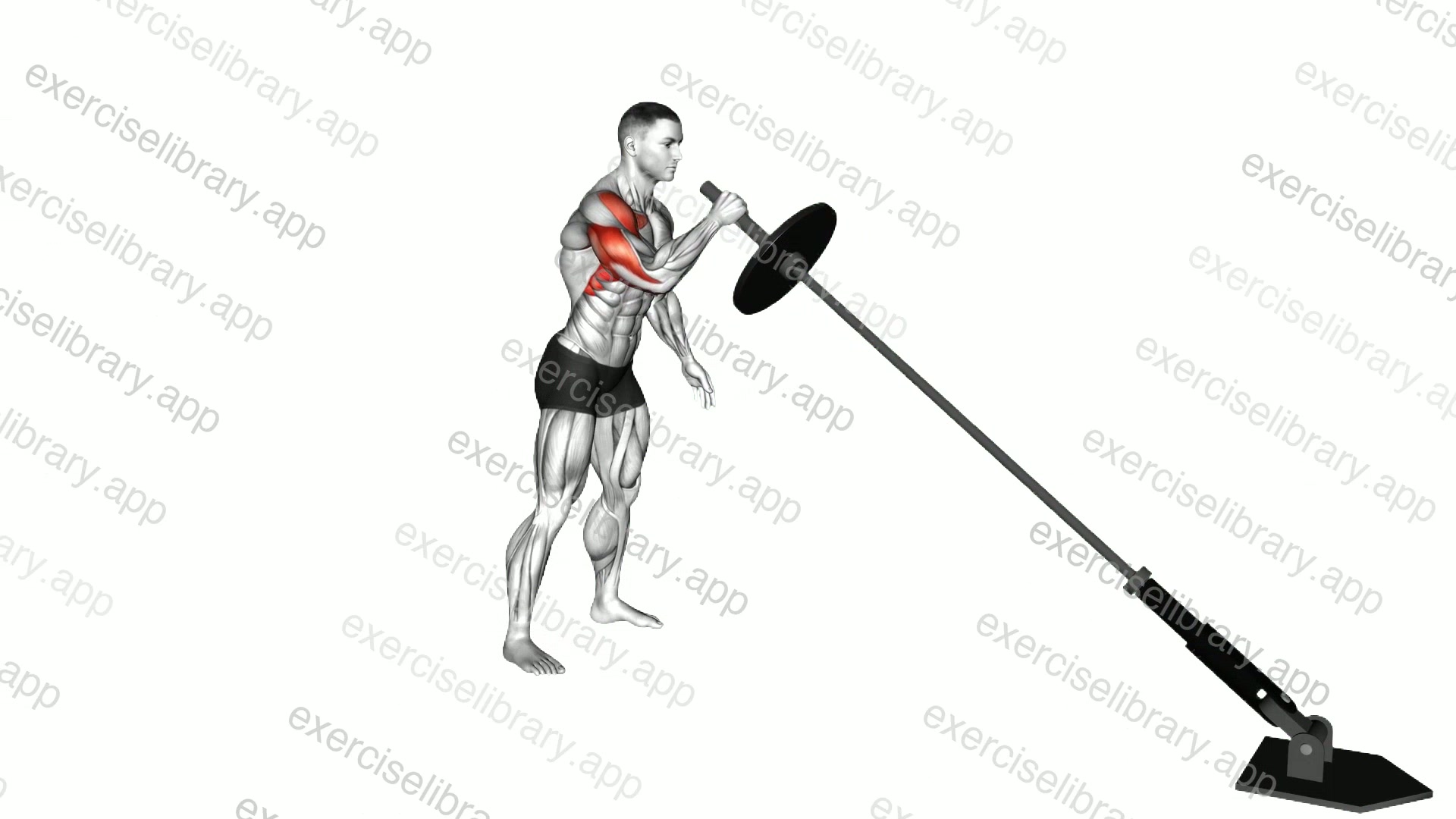 Landmine Single Arm Press demonstration