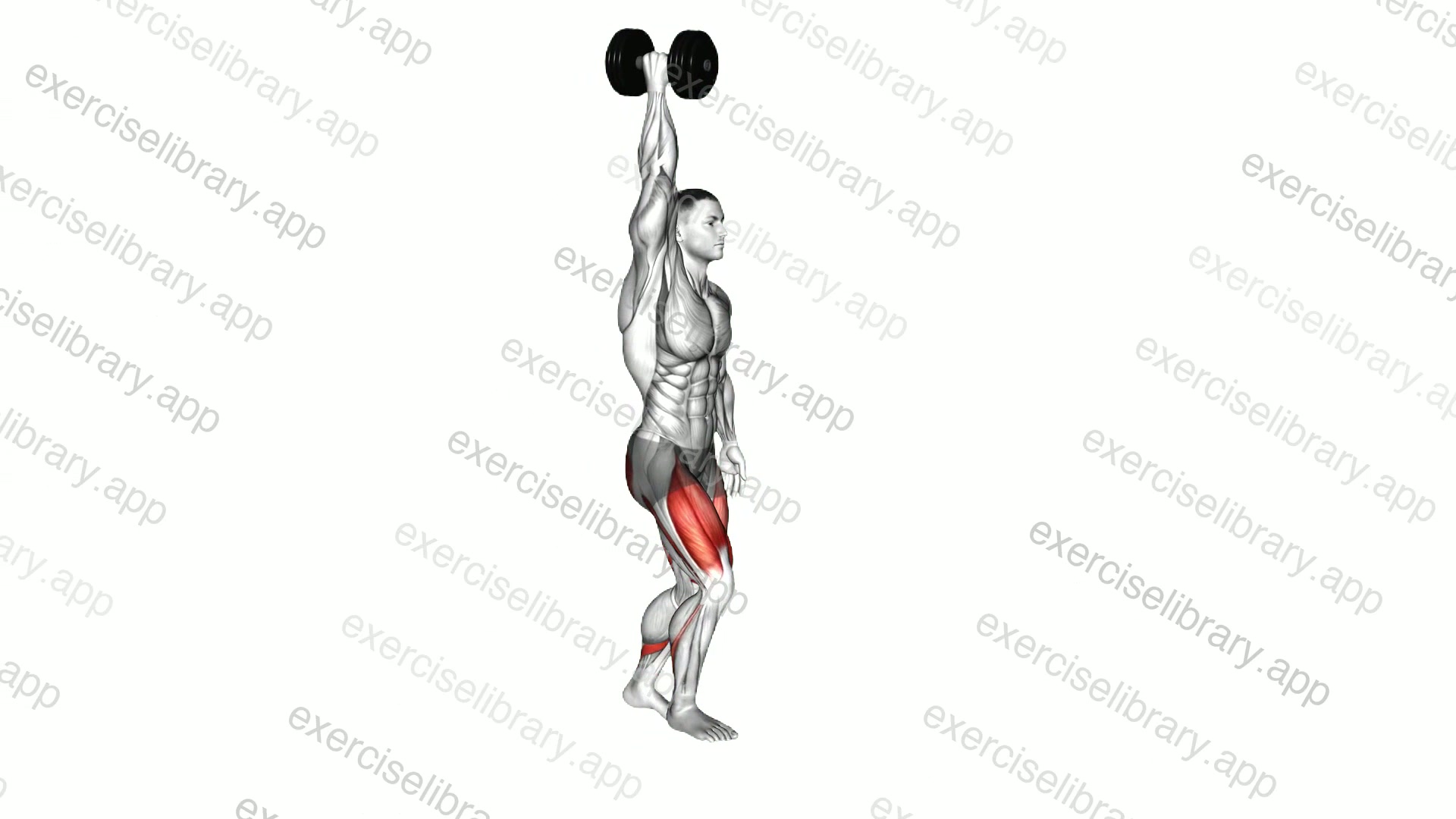 Dumbbell Single Arm Overhead Lunge demonstration