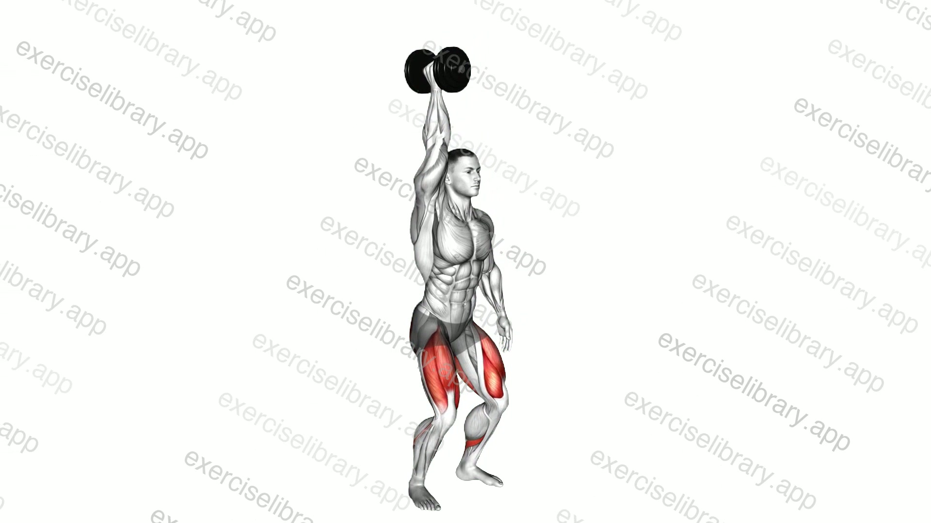 Single Arm Overhead Dumbbell Squat demonstration