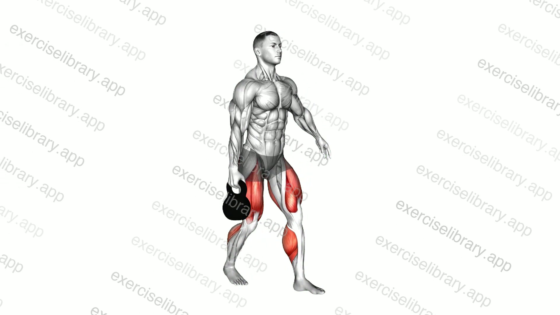 Kettlebell Unilateral Farmers Walk demonstration