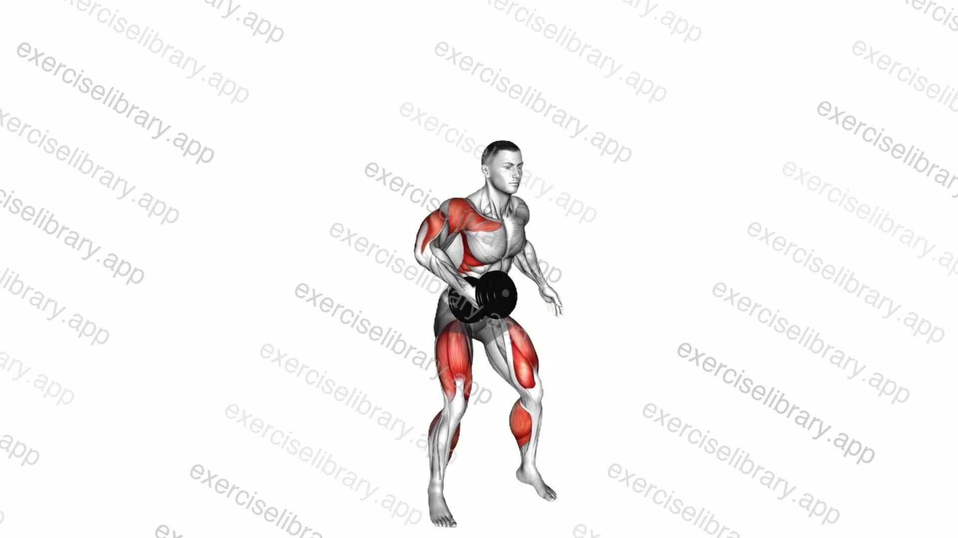 Dumbbell Single Power Clean and Jerk demonstration