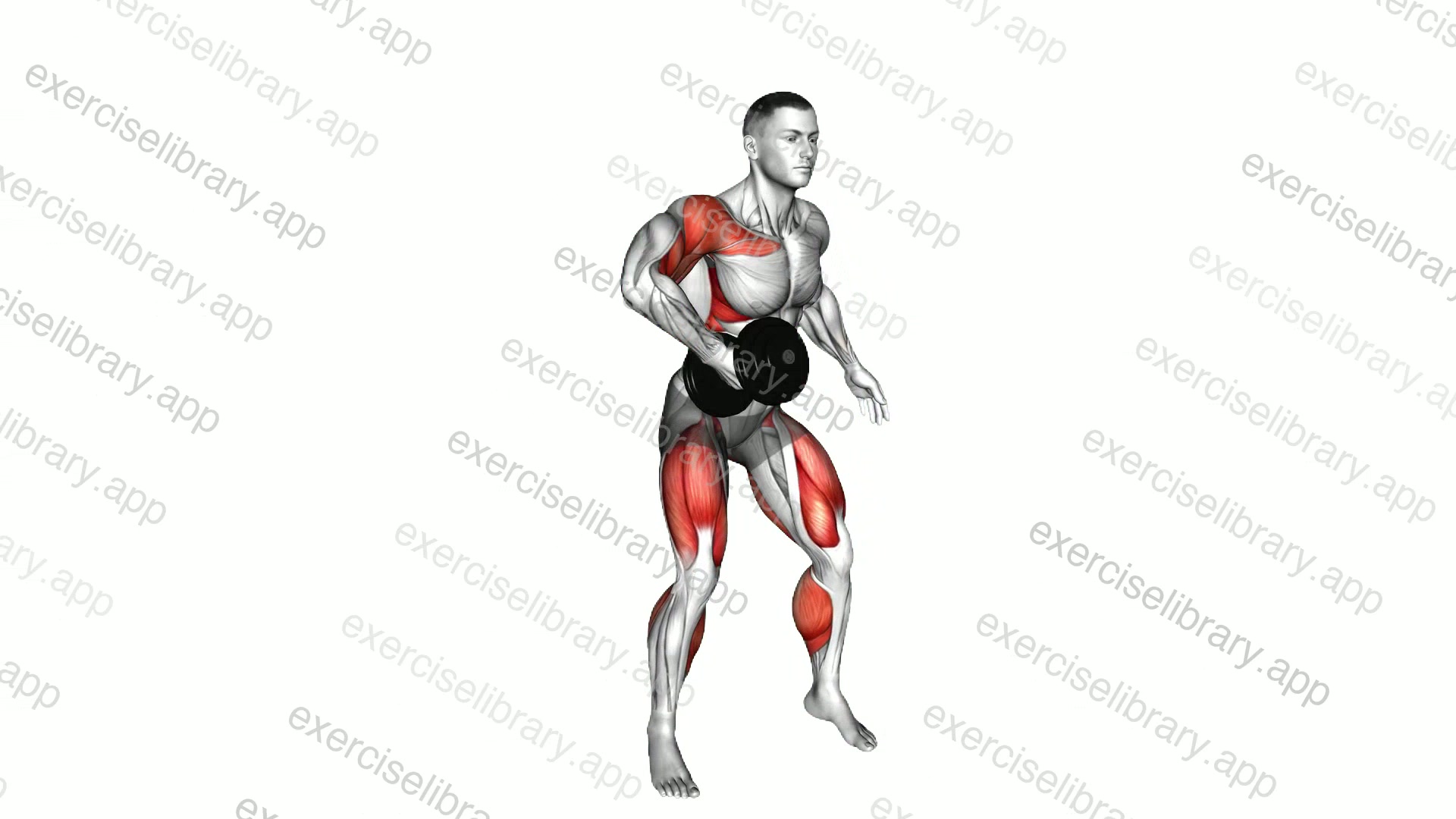 Dumbbell Single Power Clean demonstration