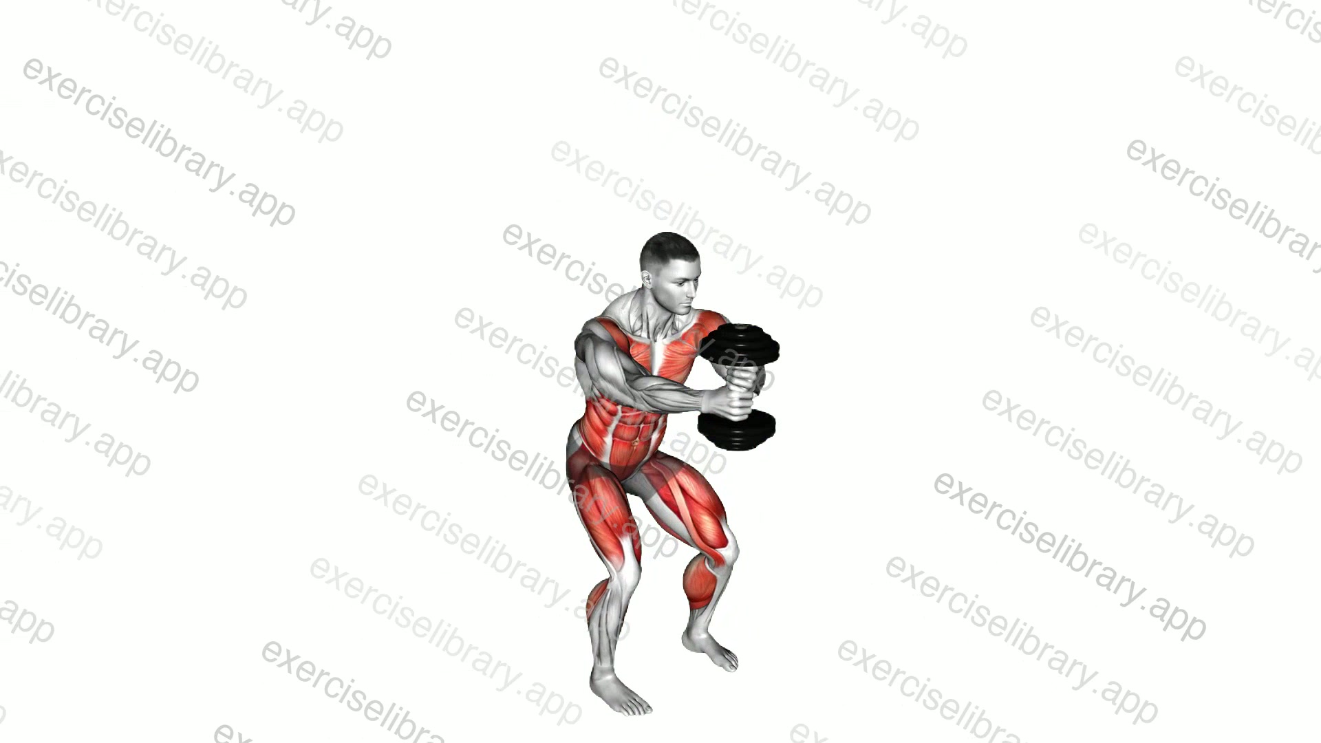 Dumbbell Wood Chop Squat demonstration