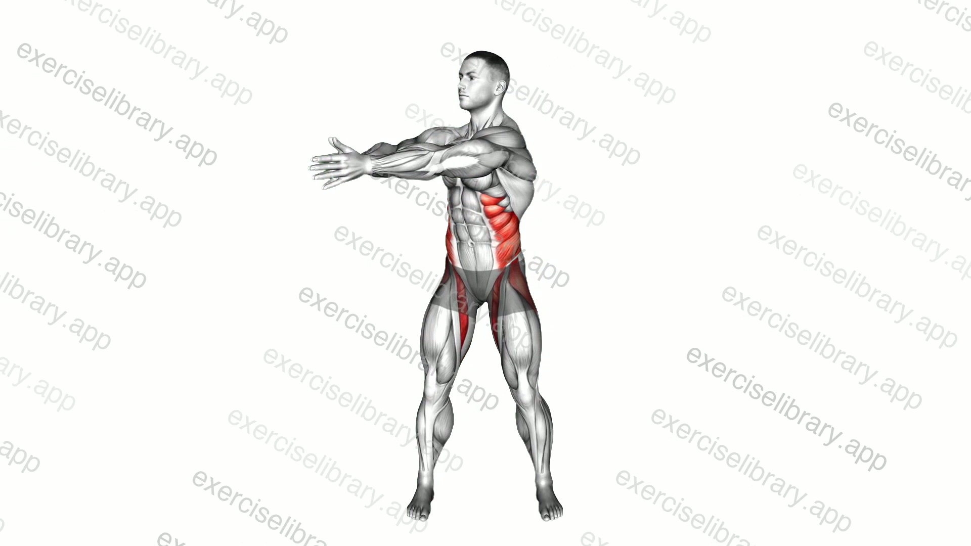 Standing Ab Twist demonstration