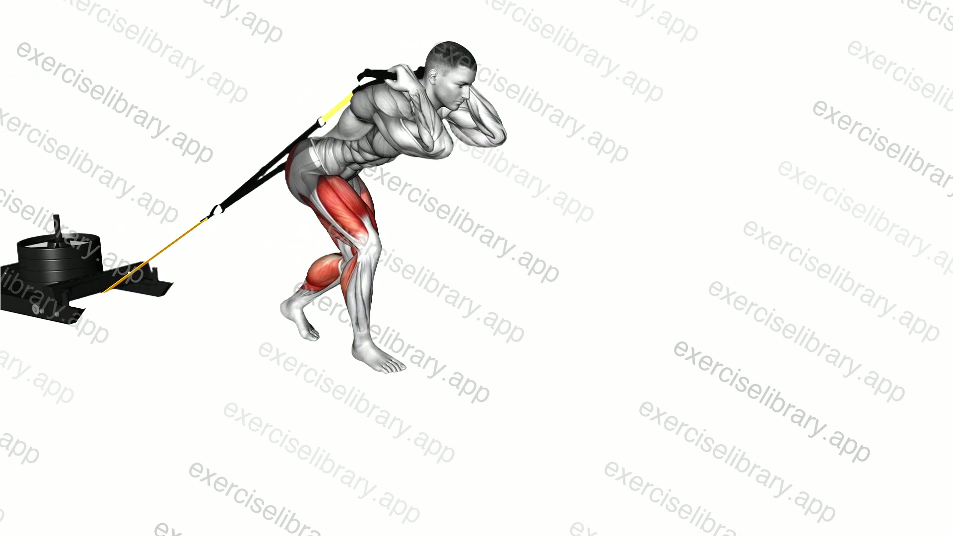 Power Sled Drag demonstration