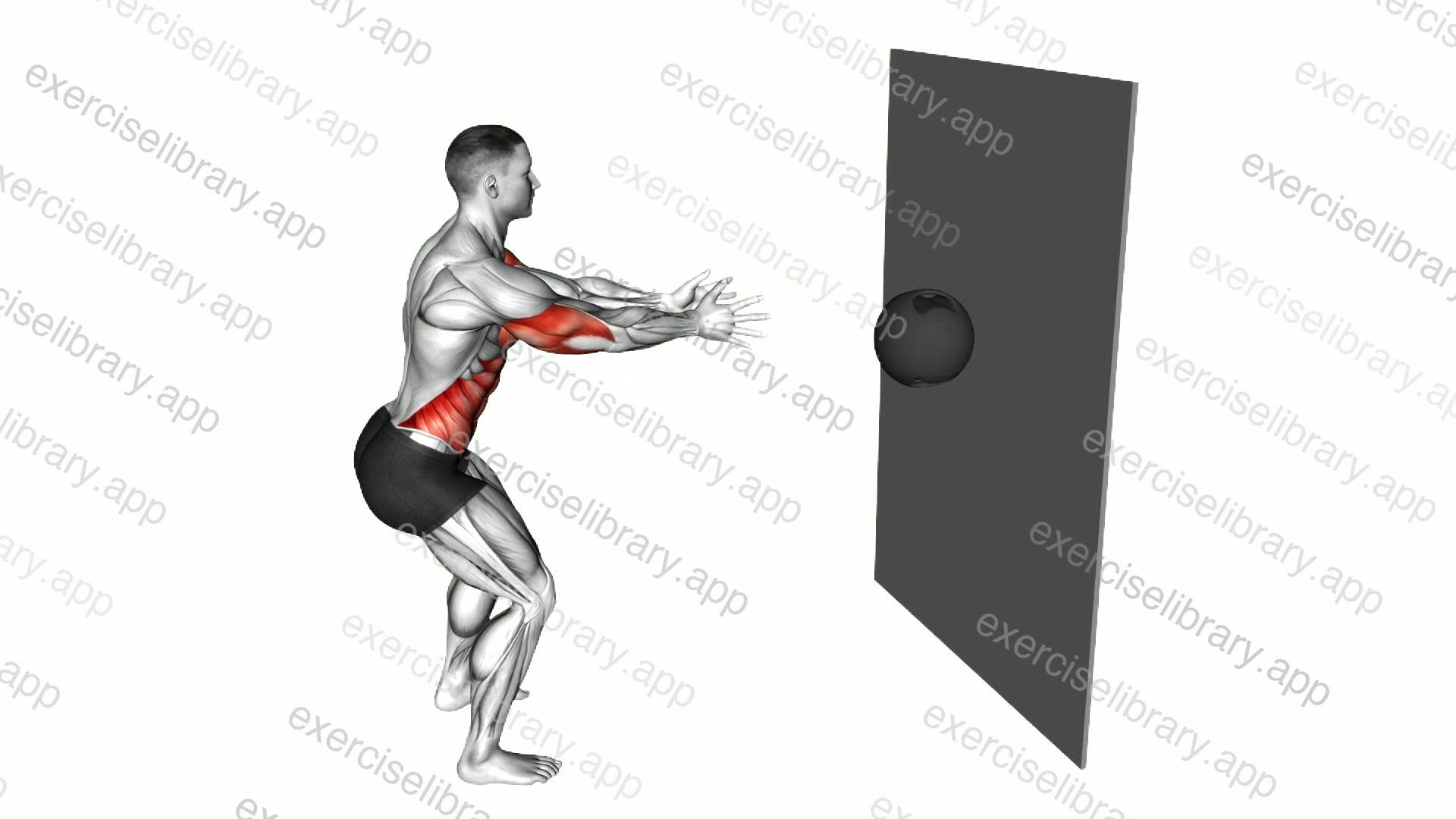 Medicine Ball Chest Pass against Wall demonstration