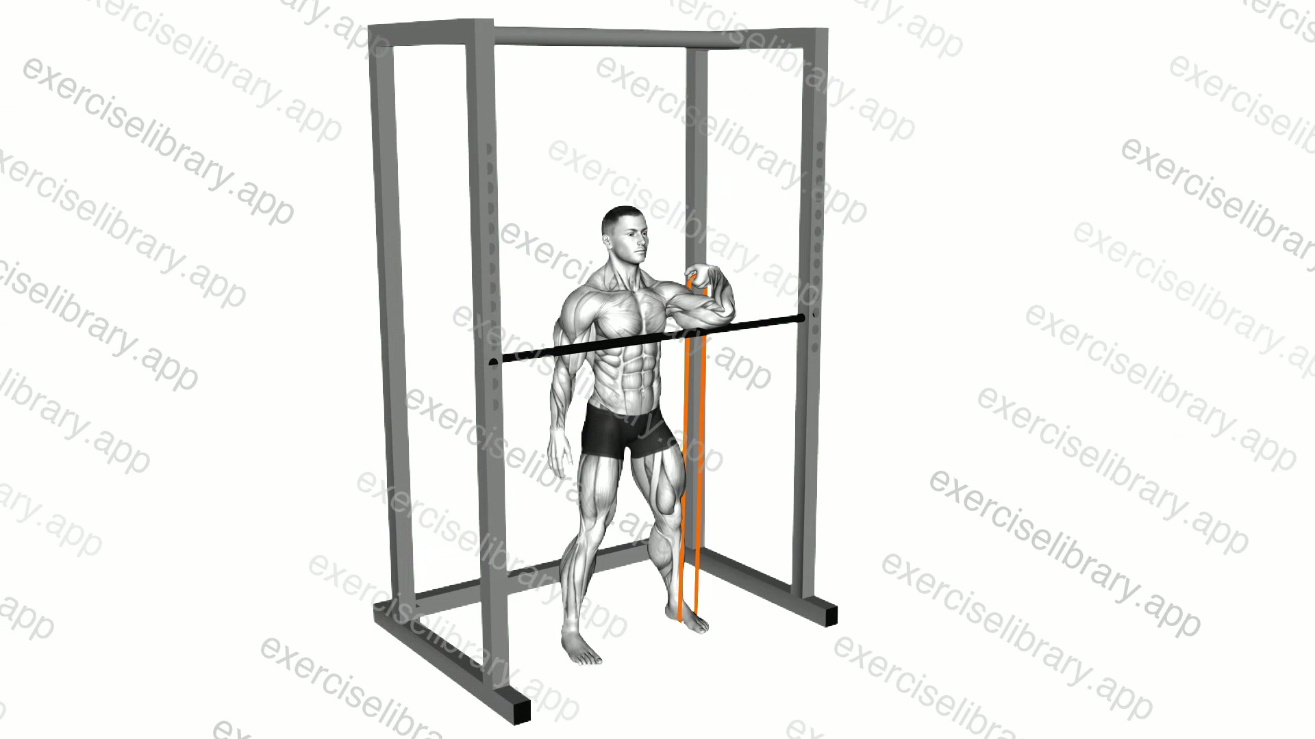 Resistance Band Assisted Front Rack Stretch demonstration