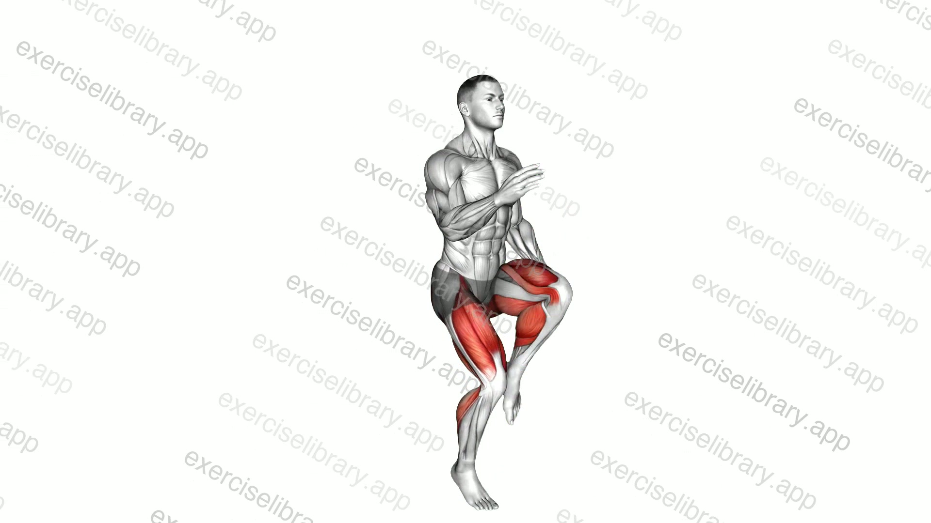 Jumping Single Leg Lunge demonstration