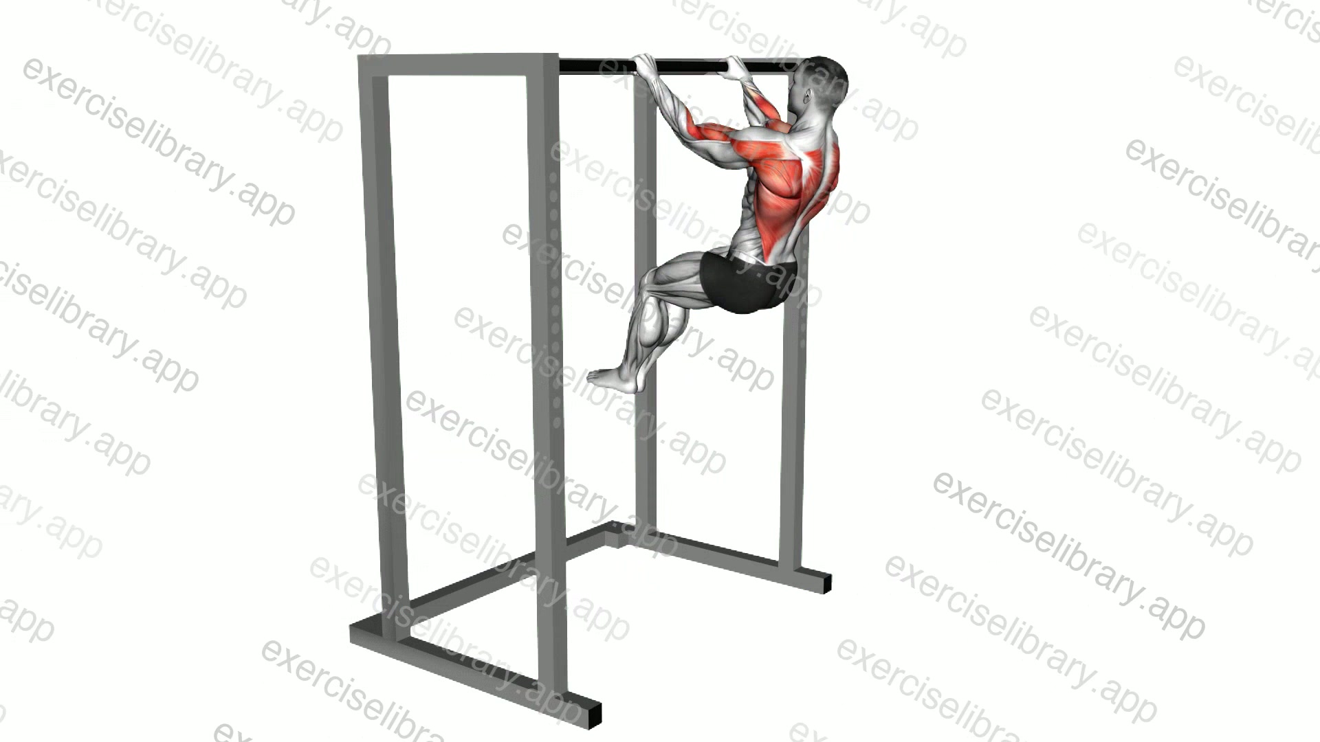 Butterfly Pull-up demonstration
