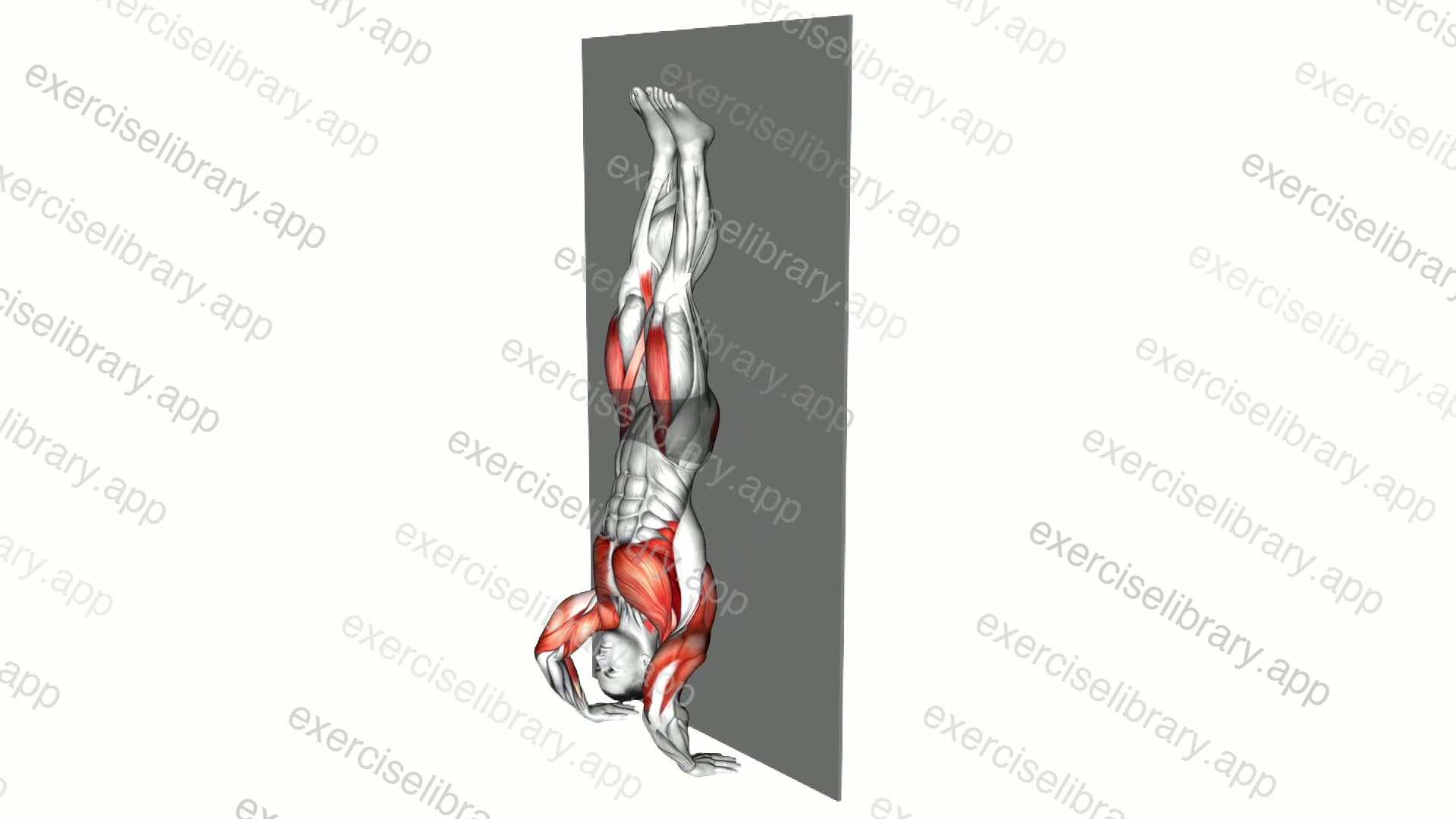 Kipping Handstand Push-up demonstration