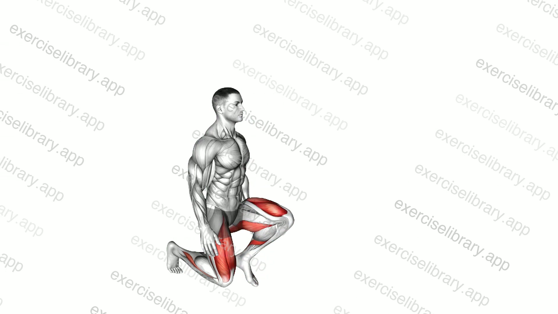 Bodyweight Kneeling Hold to Stand demonstration