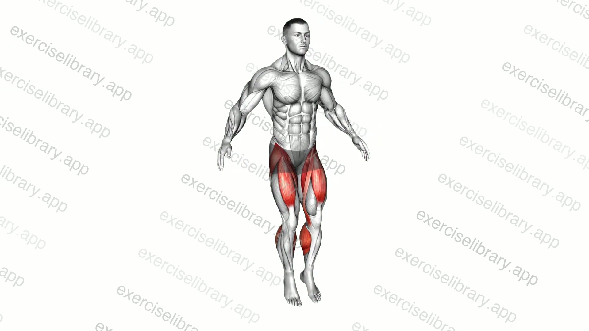Side to Side Hop demonstration