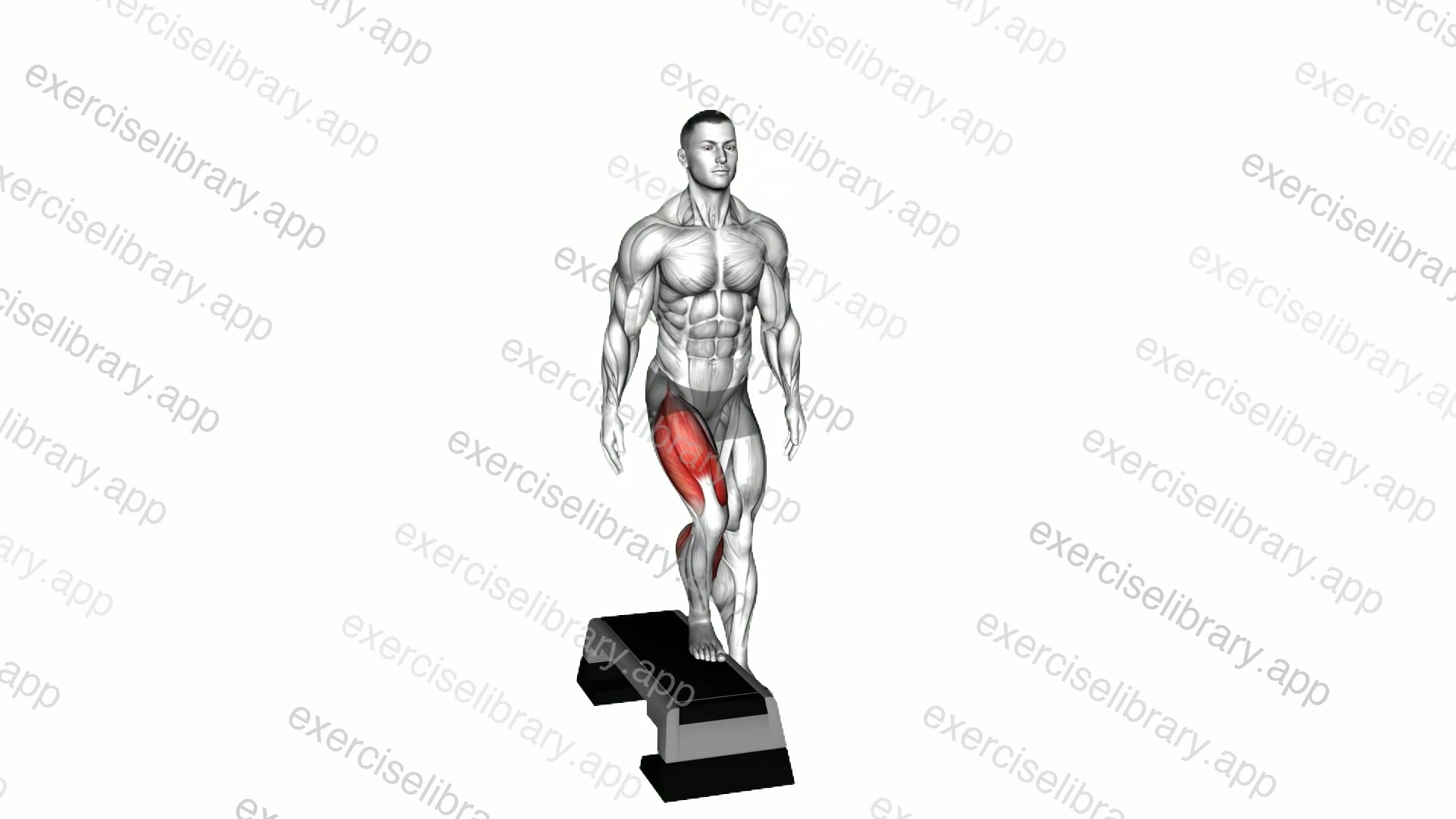 Lateral Step-up demonstration