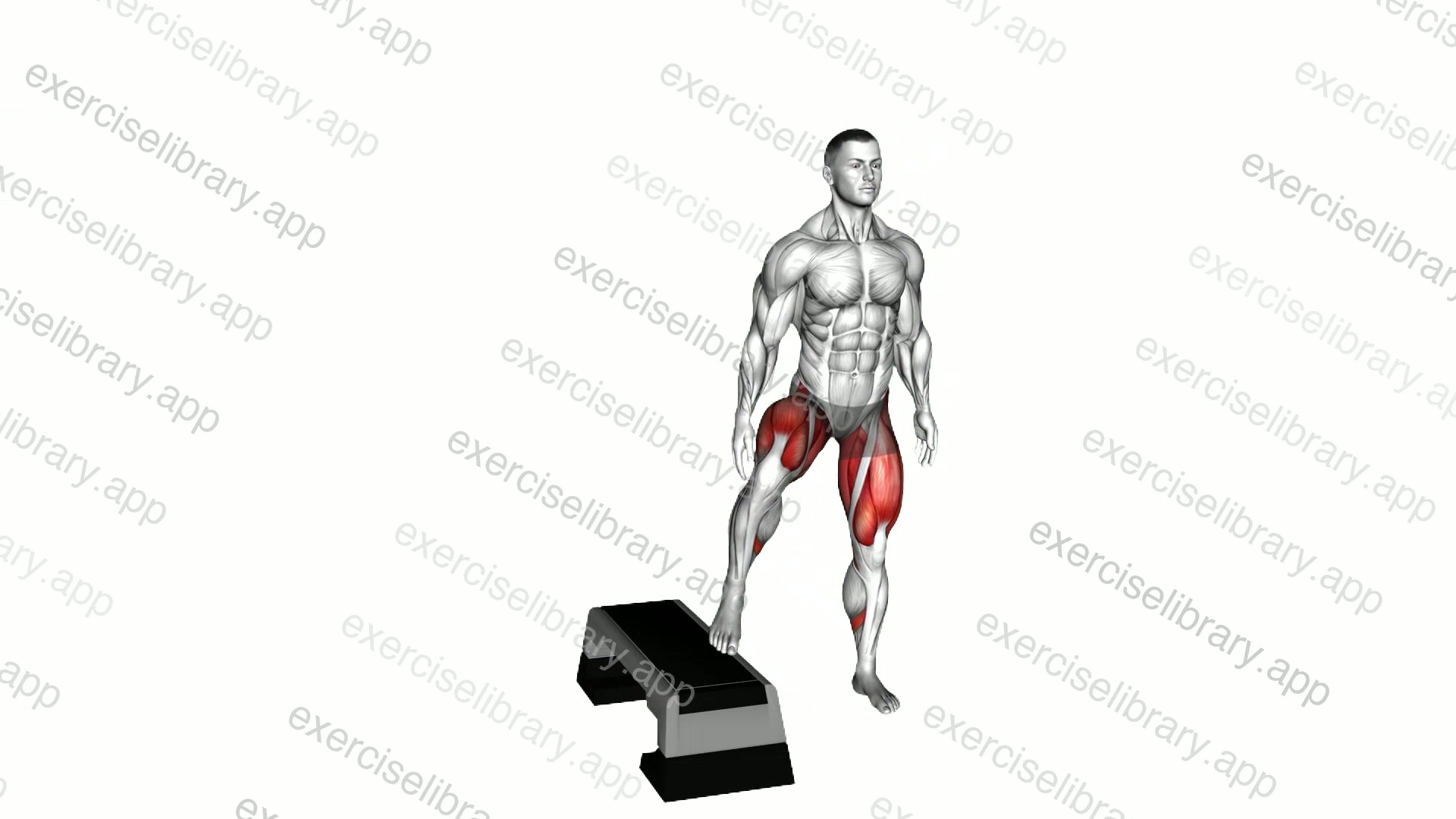 Lateral Step-up with Knee Drive demonstration