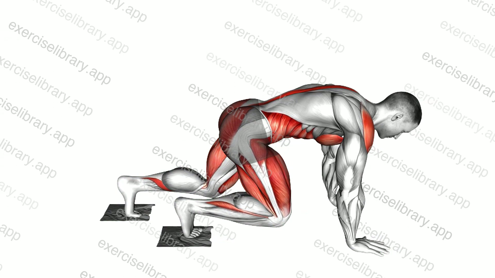 Mountain Climber Slide with Towel demonstration